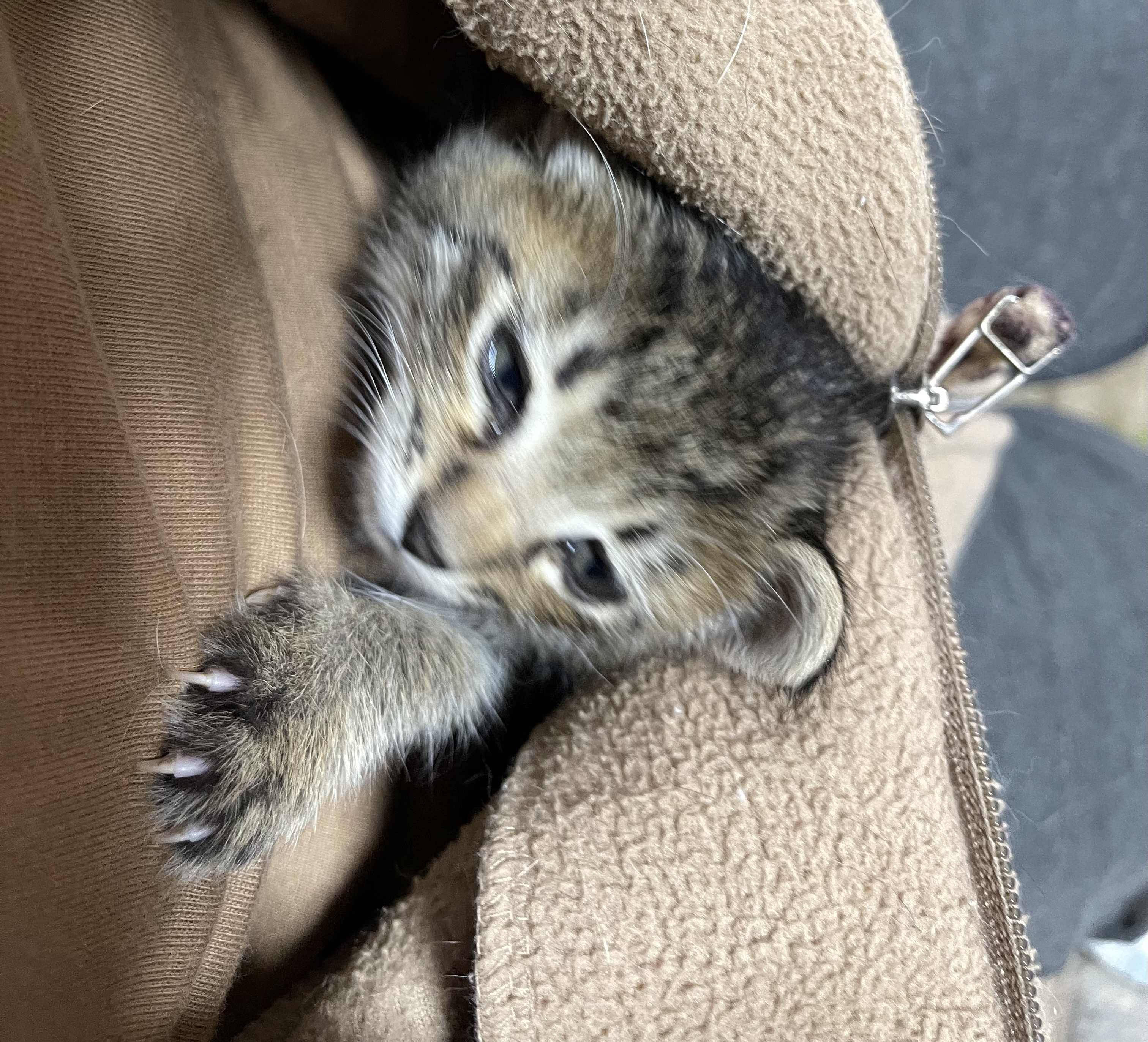 84AF9443-5FB7-40C5-BDD2-3D016D3572B3