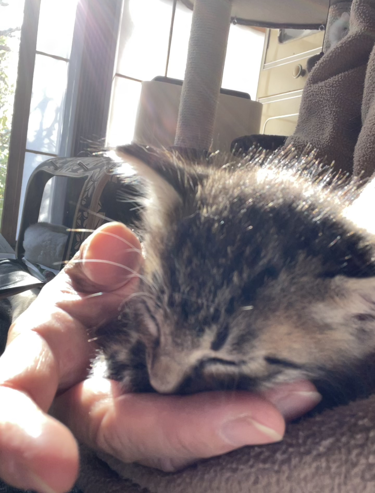 A9C53983-2626-45F0-AA1C-BB58DA20C112