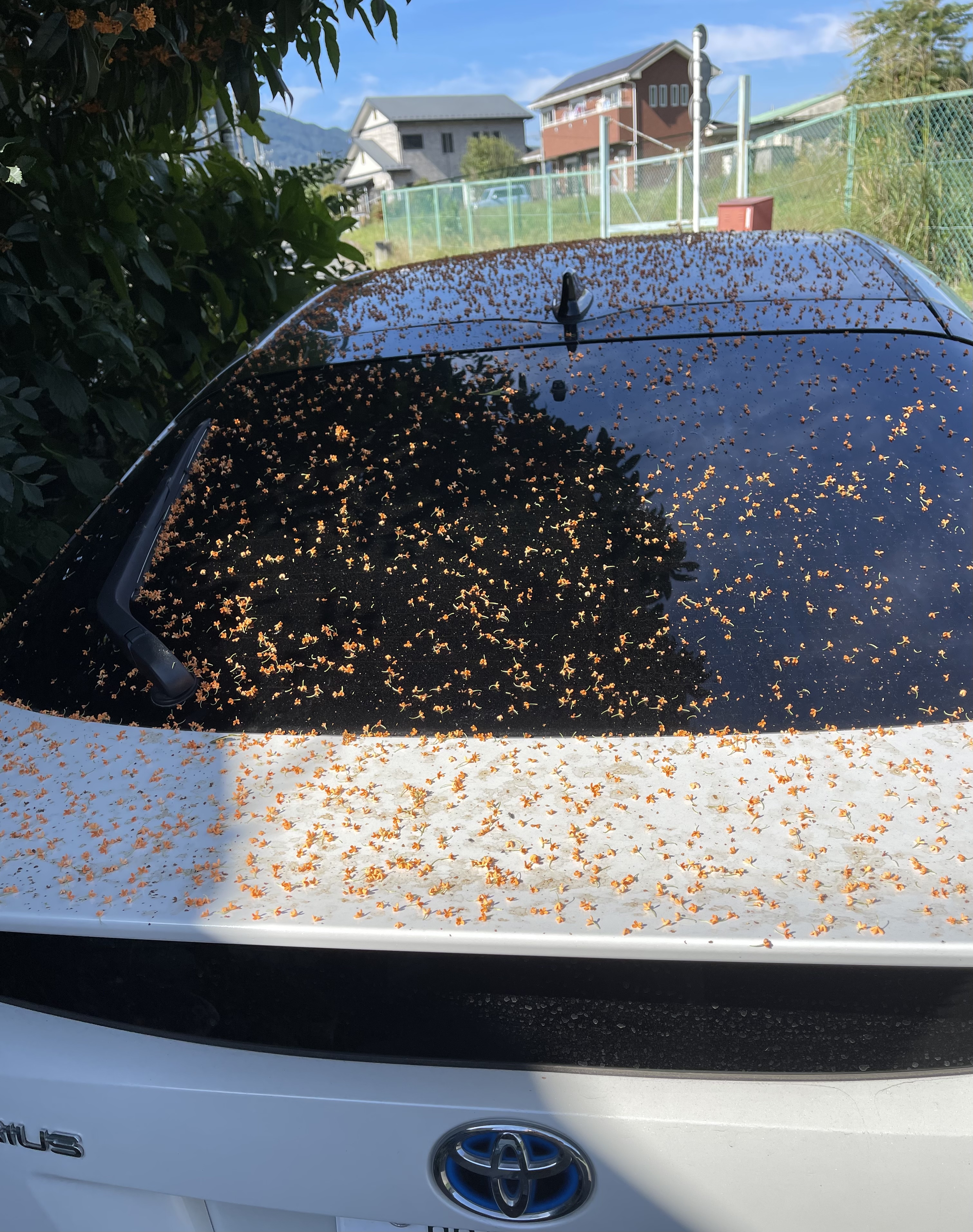 B265FC16-BAAC-4B98-B80B-4E7C14CB208F