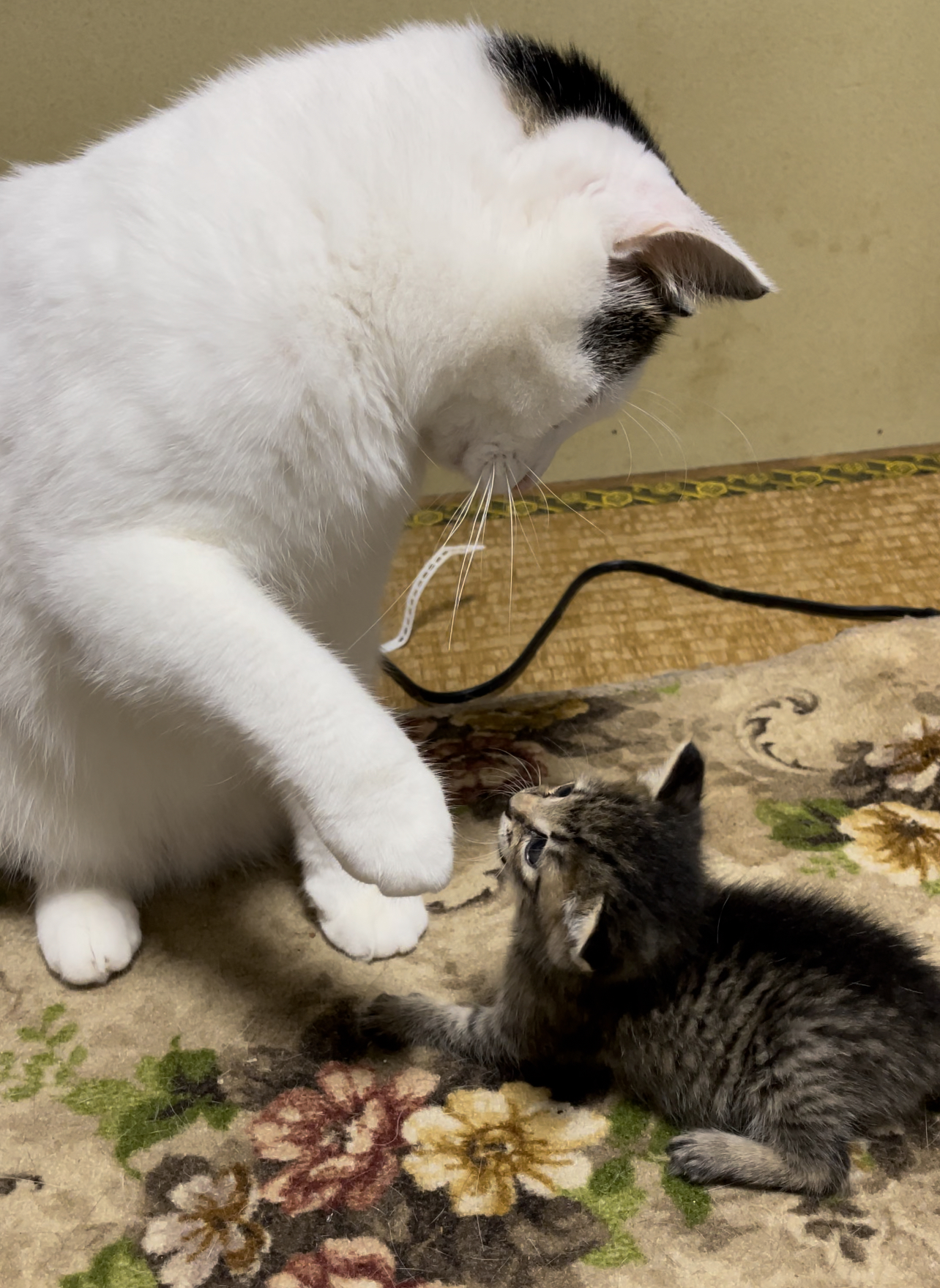 BFD1E45D-771E-47E7-B21A-5996B4D39C91