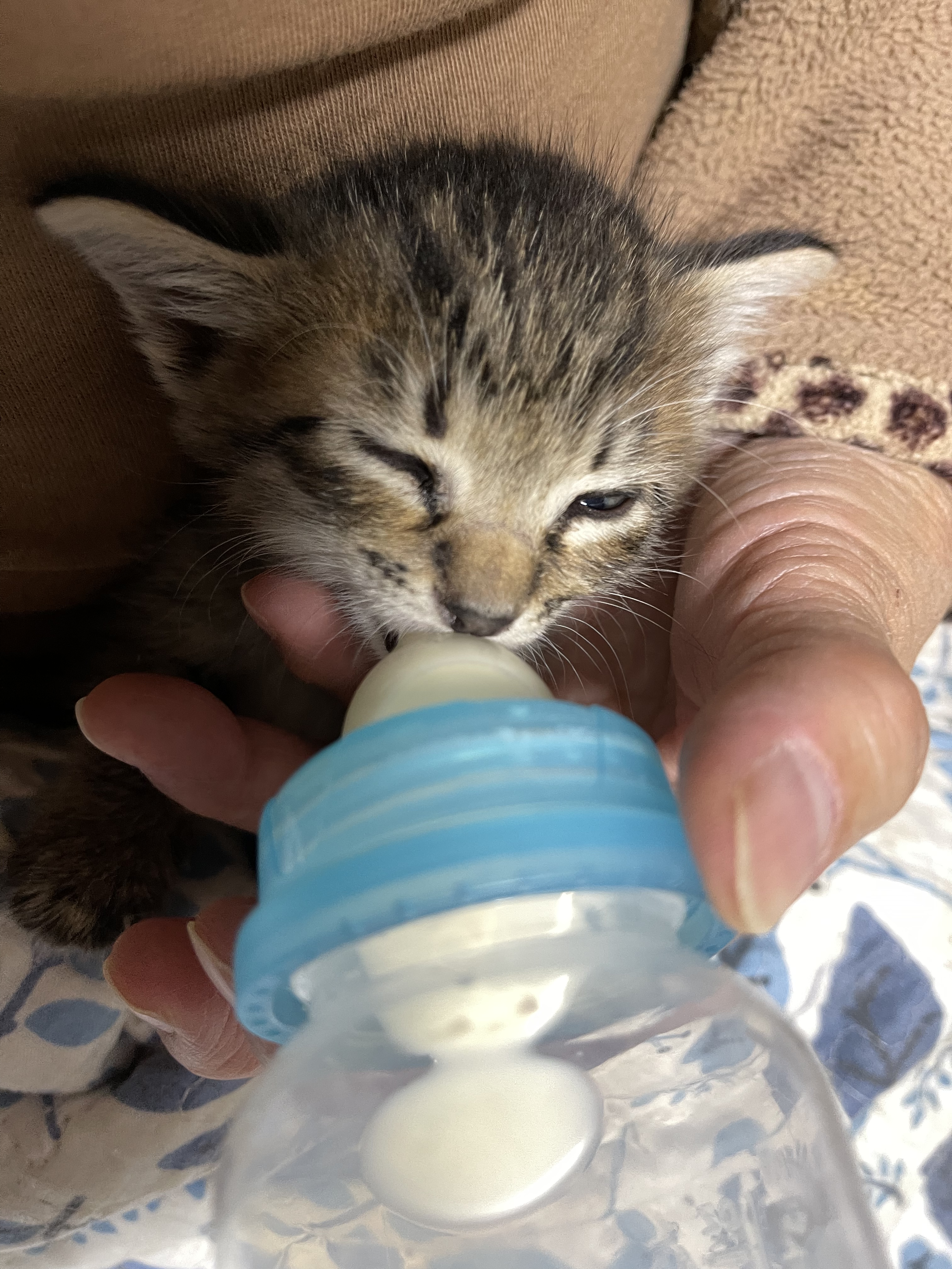 D89A7B15-E8EA-49FC-BCF5-874623B309B8