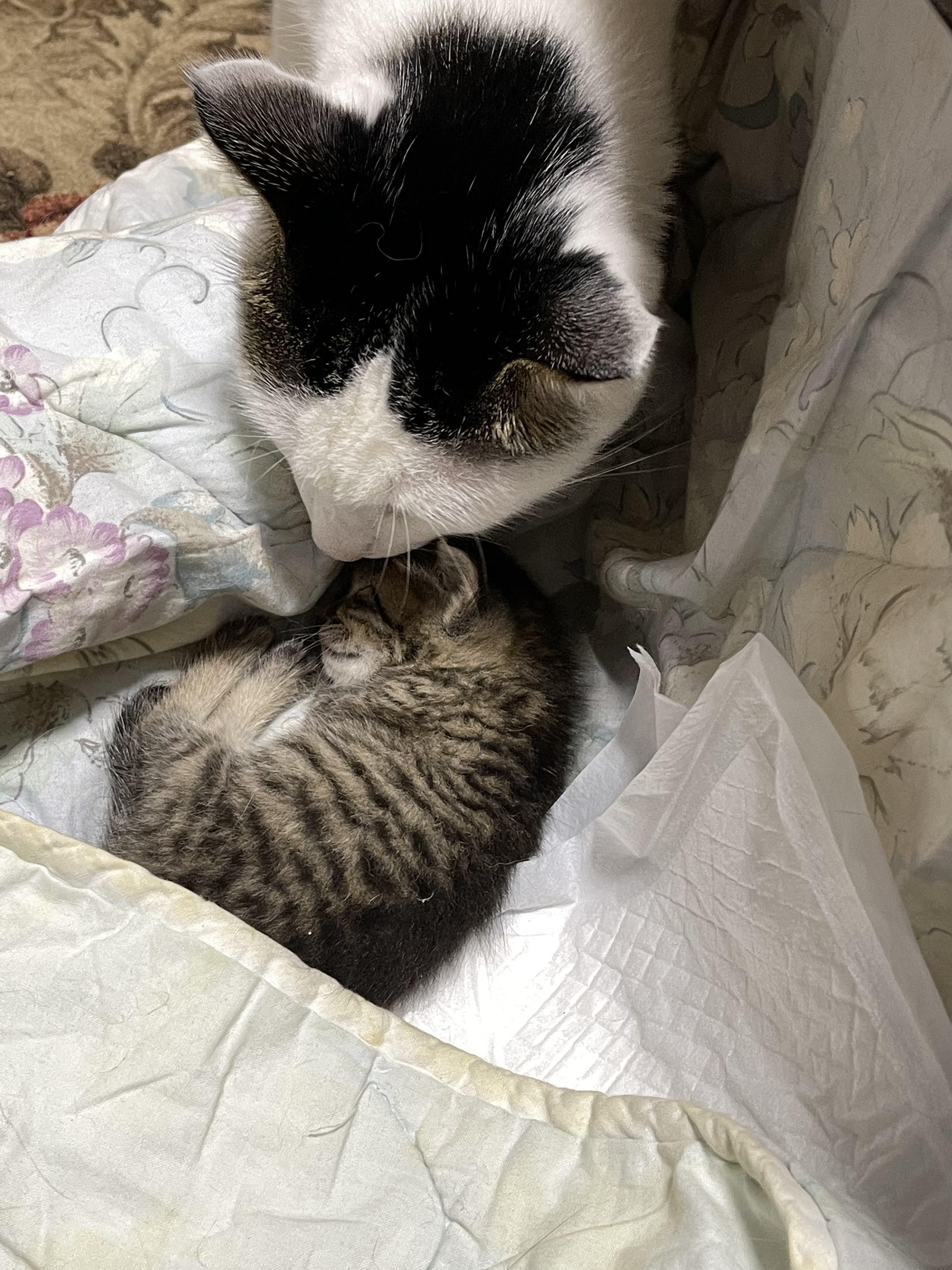 E1CF7606-DBA6-456A-AEB8-808872F96FED