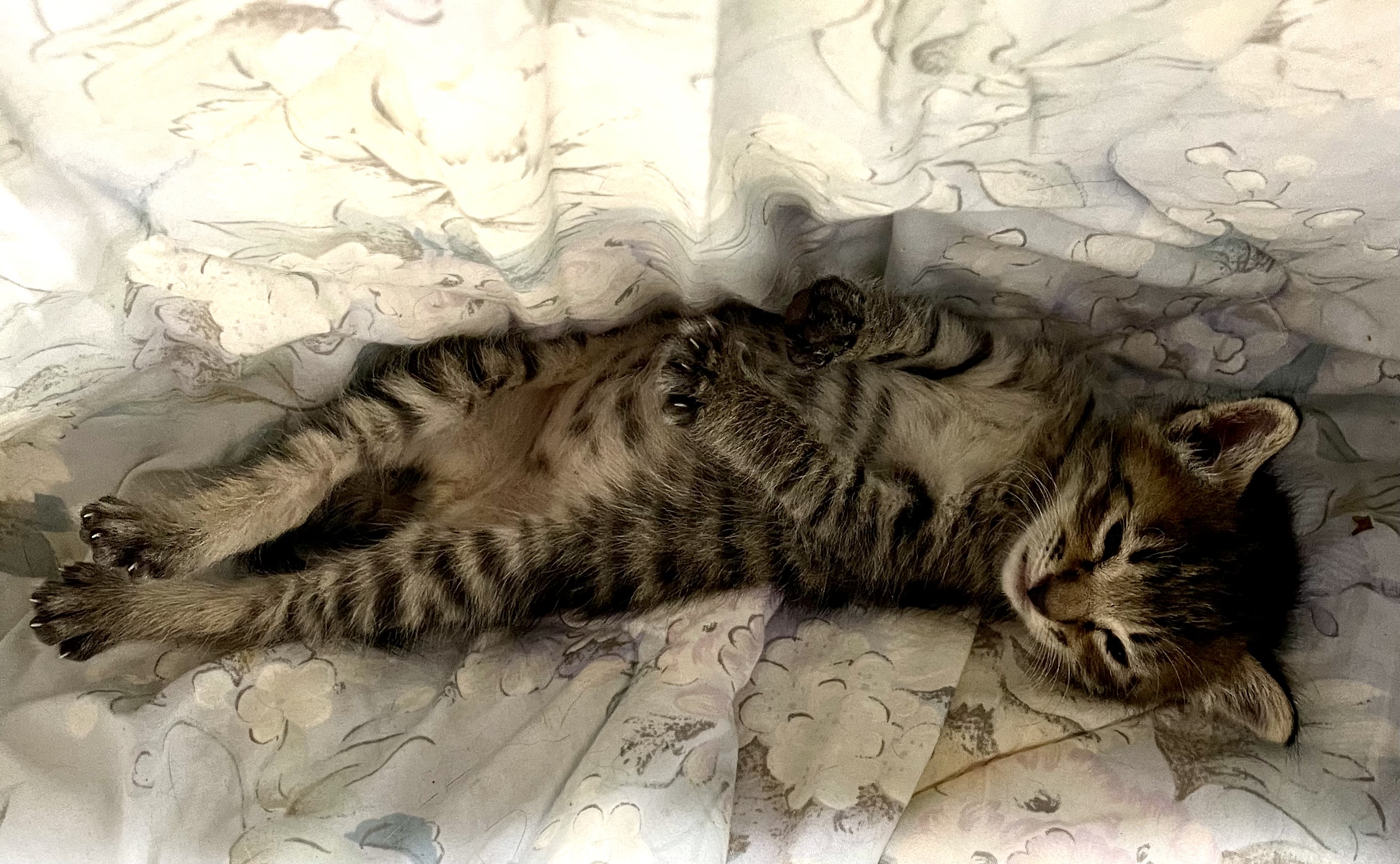 E74FCE8F-3492-4452-B136-F5CAE6EF8CCB