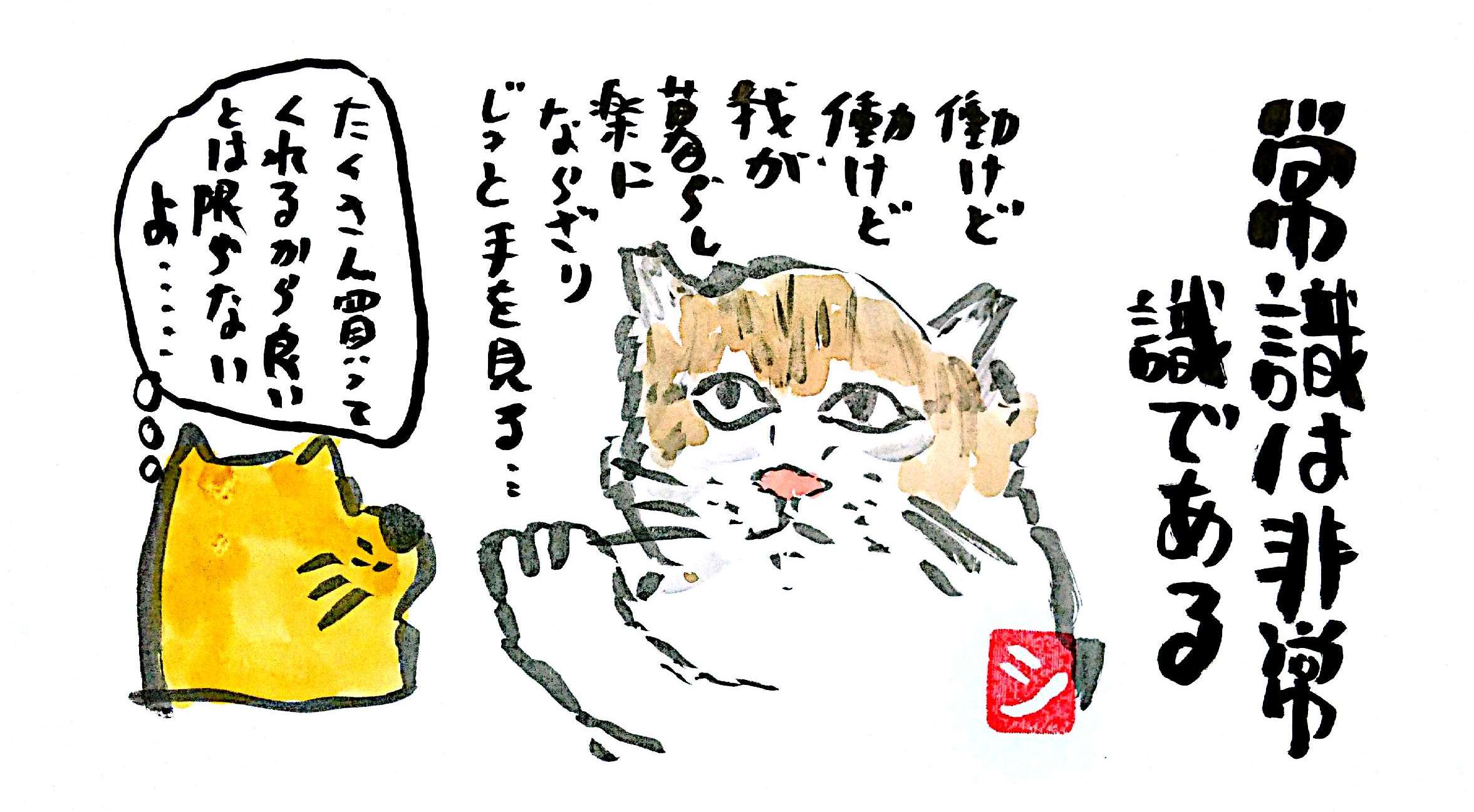 ED5A7A7F-7A30-40C1-80C7-2C3403D5D829