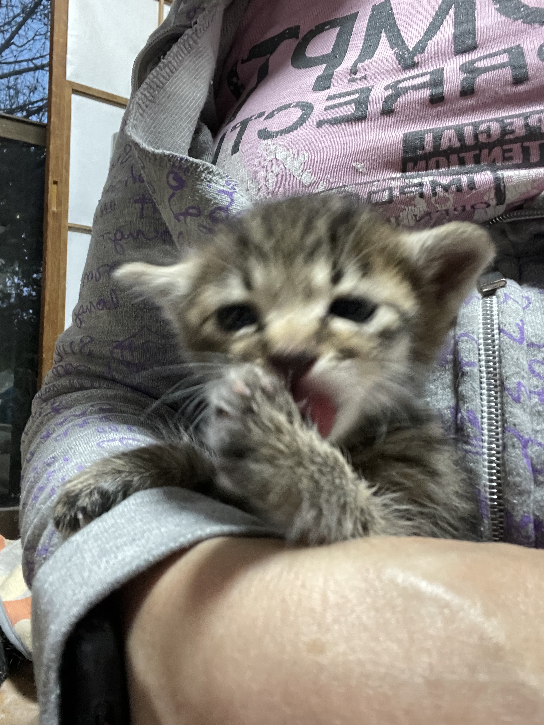 EE1D1034-41F0-42D0-8D22-A60D502362BA