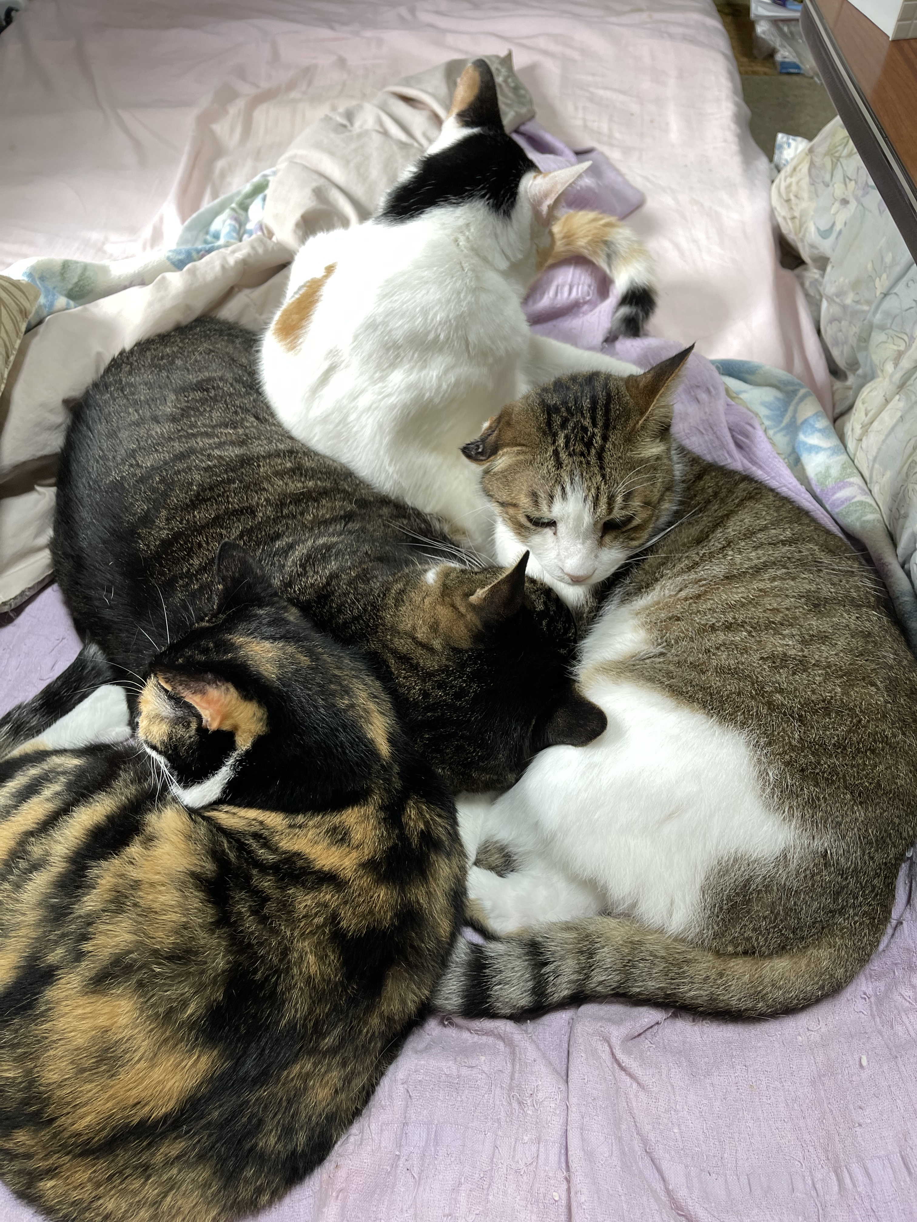 F28E2166-6527-4654-9C03-1C7B40EDA394