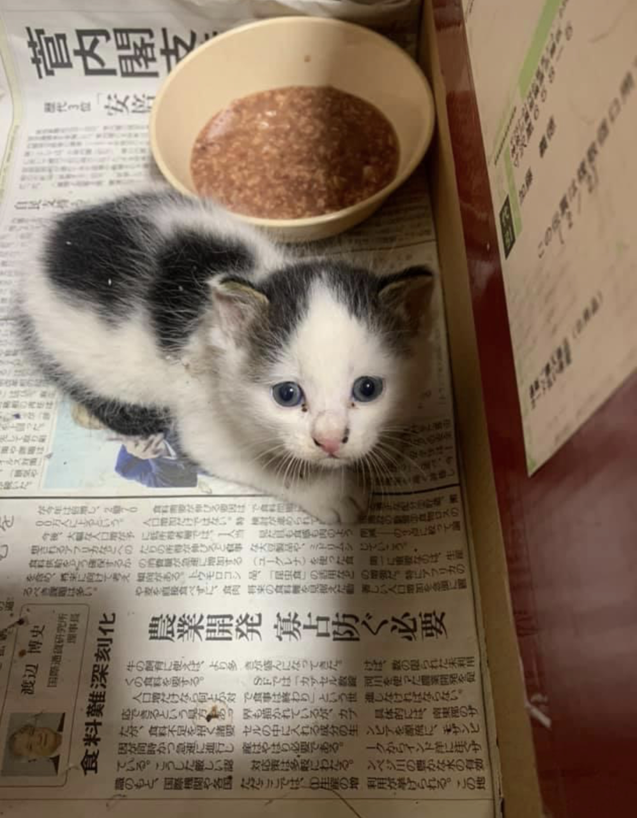 FEC3C486-6F9F-4EE3-A1B5-88D9AD421691