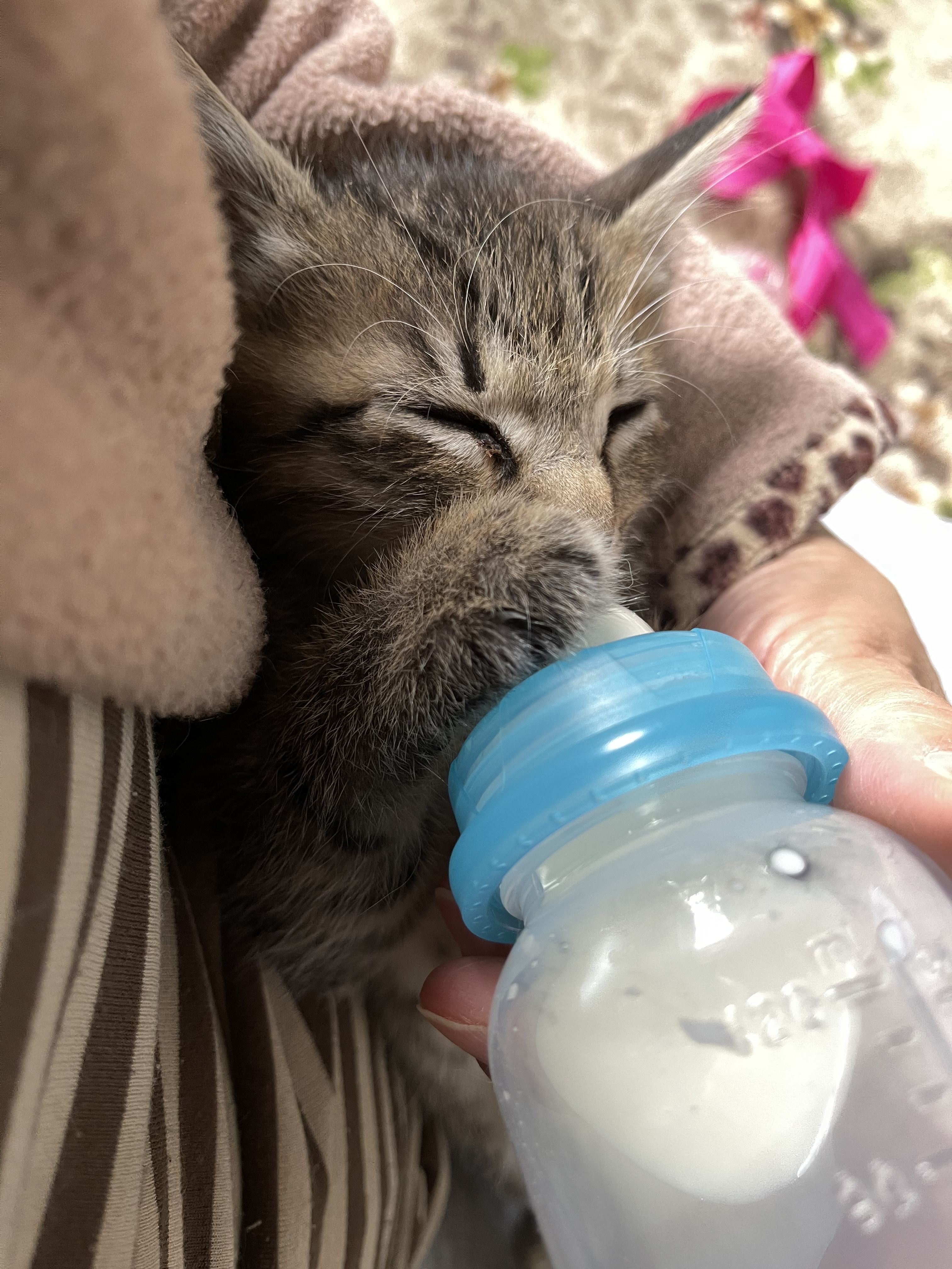 00790146-931A-437B-A990-361C20FE23A1