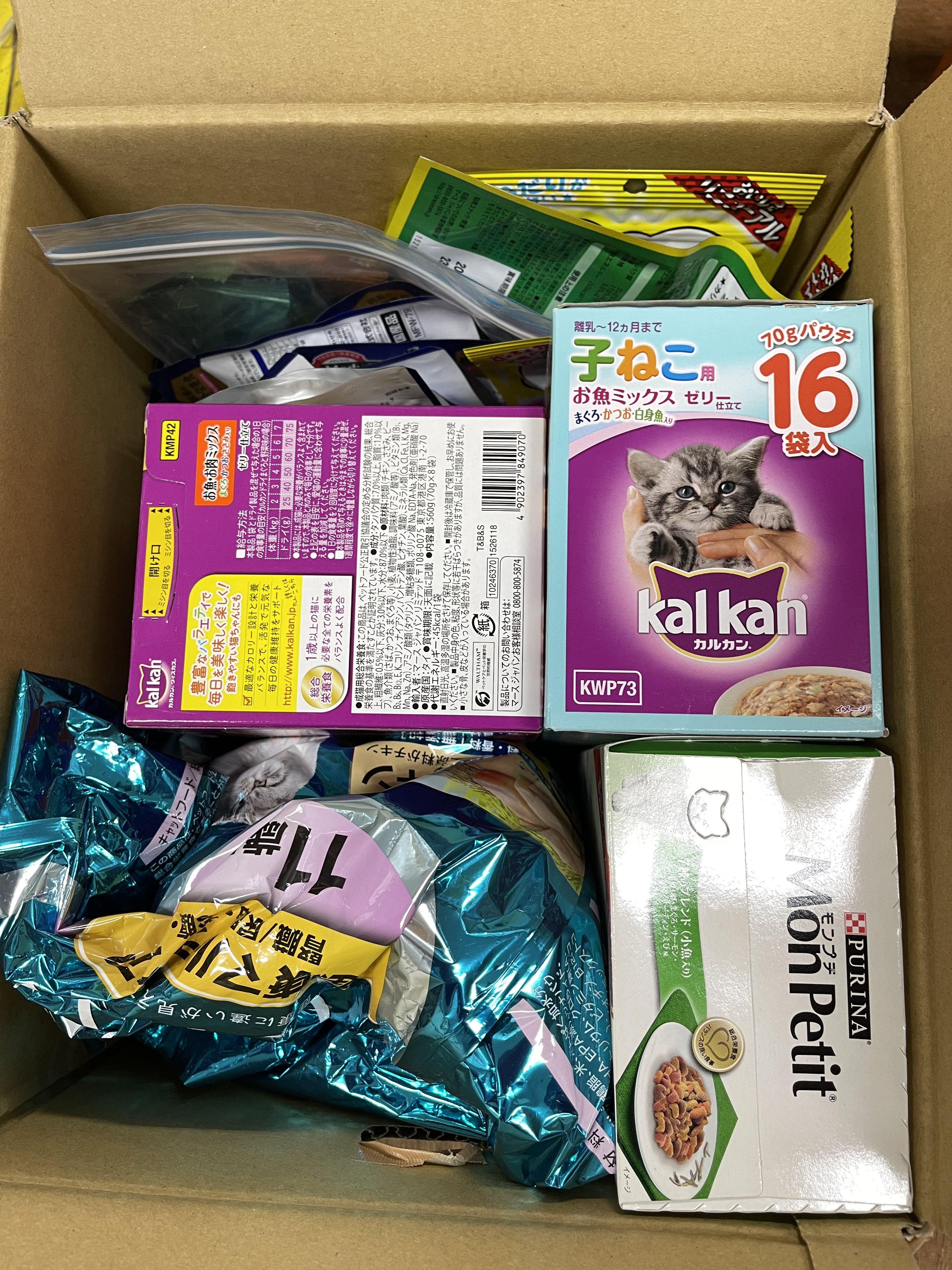 10A27DC8-069C-41AA-B6AD-FD65B6AADBFF