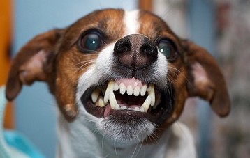 213C468C-E8DB-4EF6-8959-A84E49247180