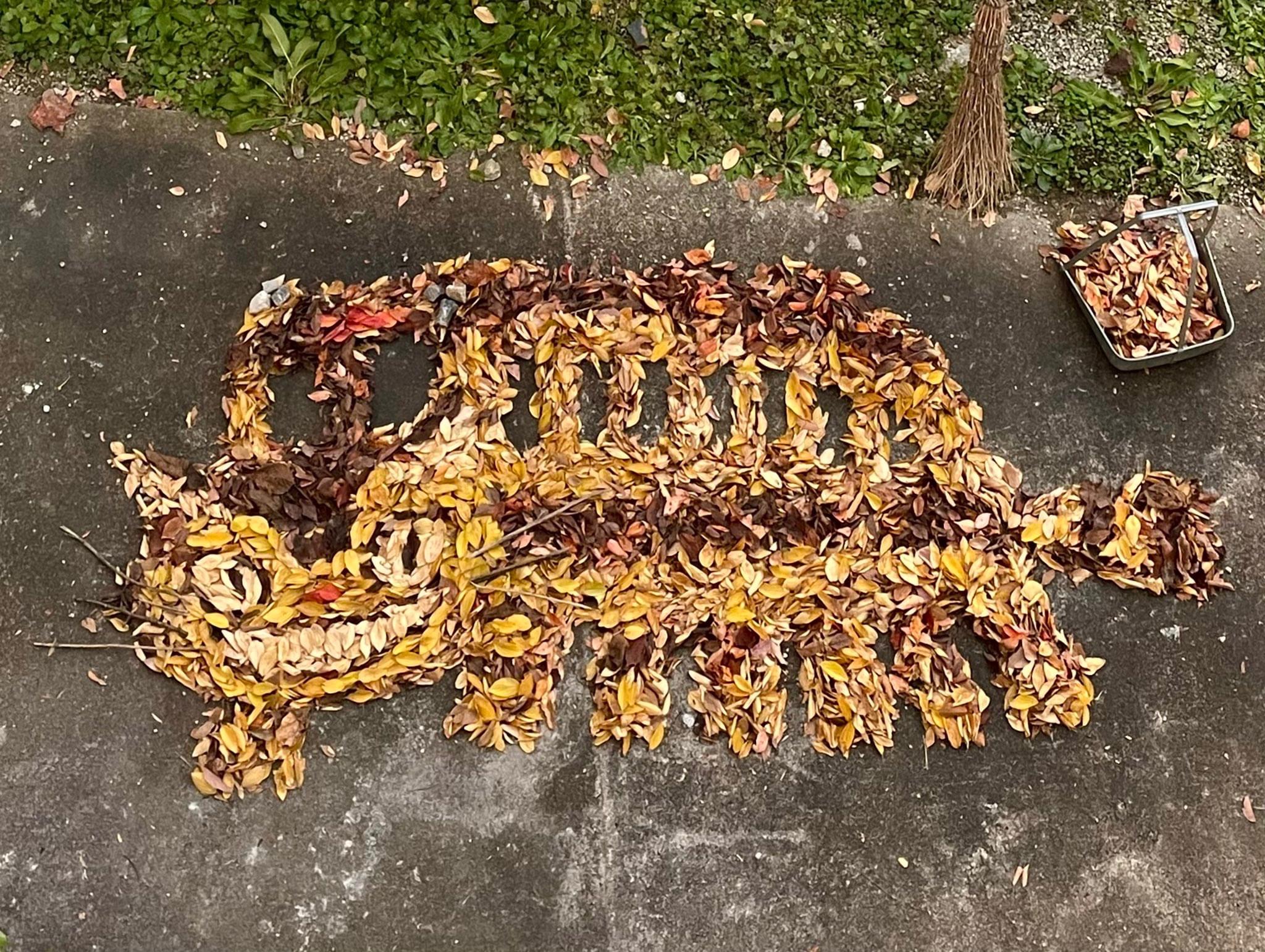 349C09F8-D5BD-4A74-8470-123618E27B25