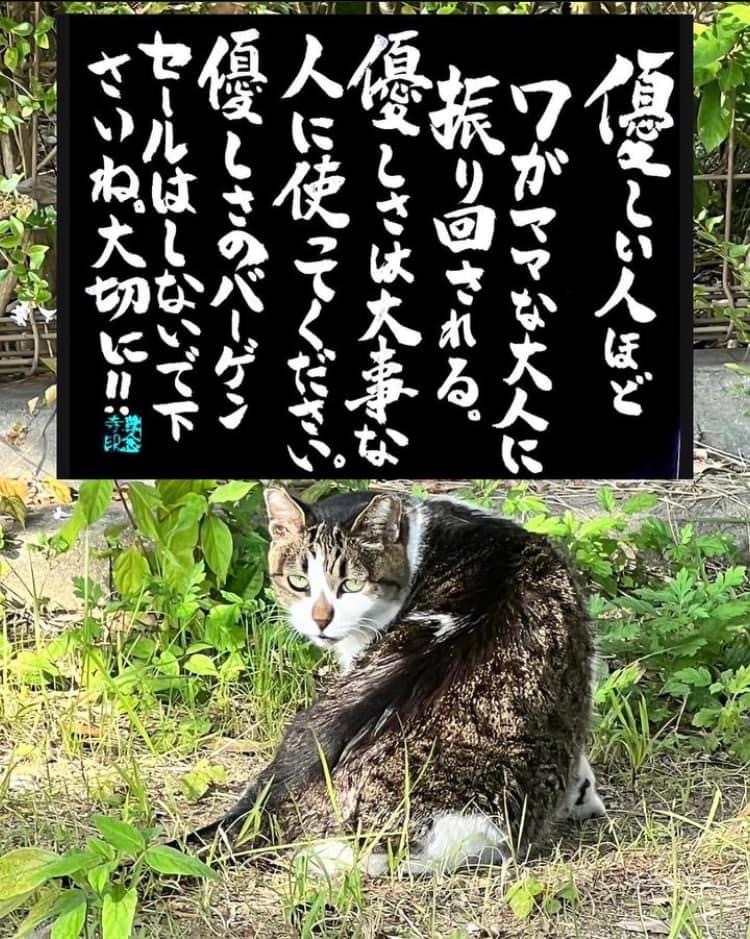 37BF7432-794E-46D4-9917-2F752FDBA709