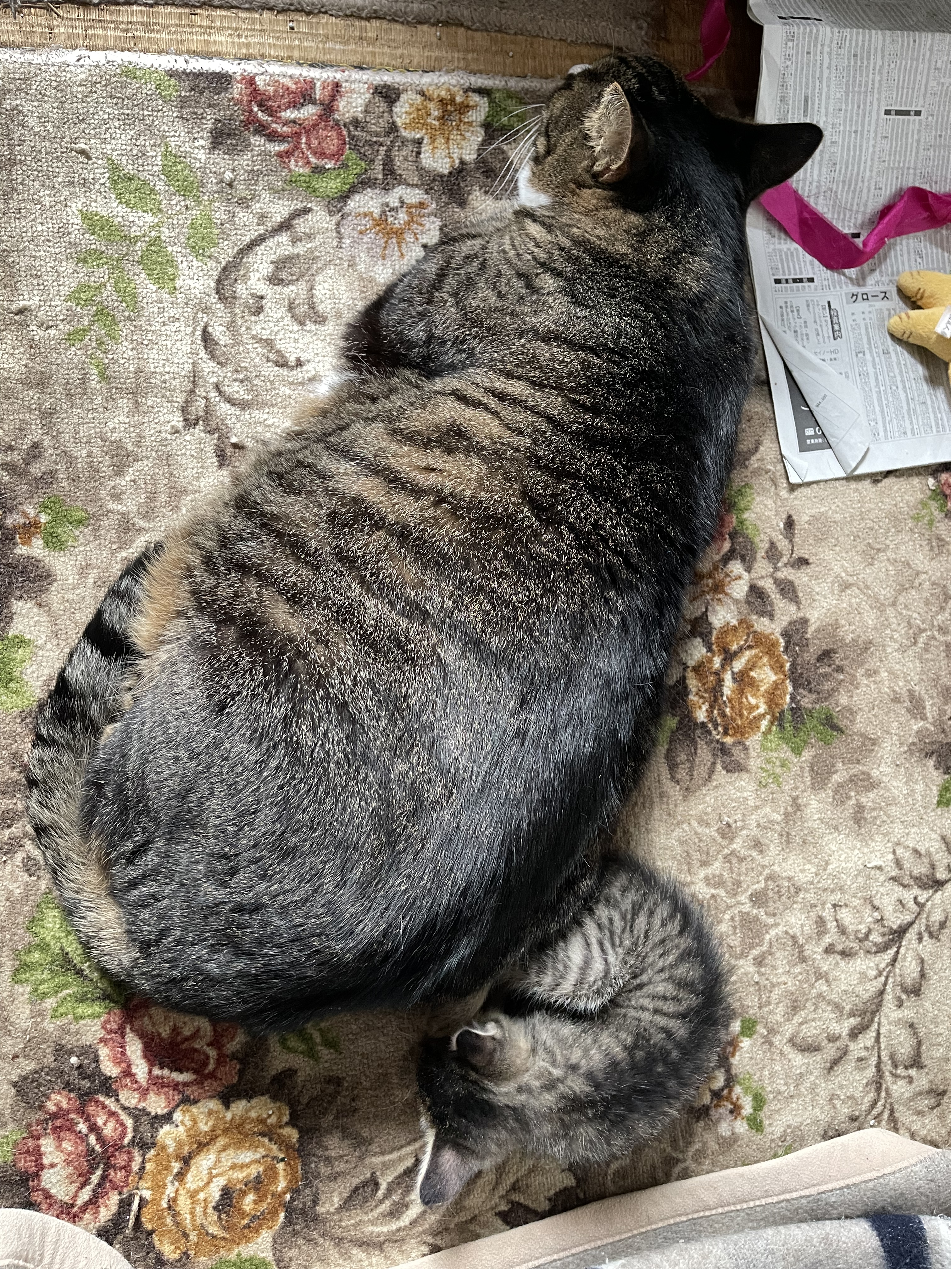 3B5399C0-E171-4C64-8D90-FBB6F7A9190A