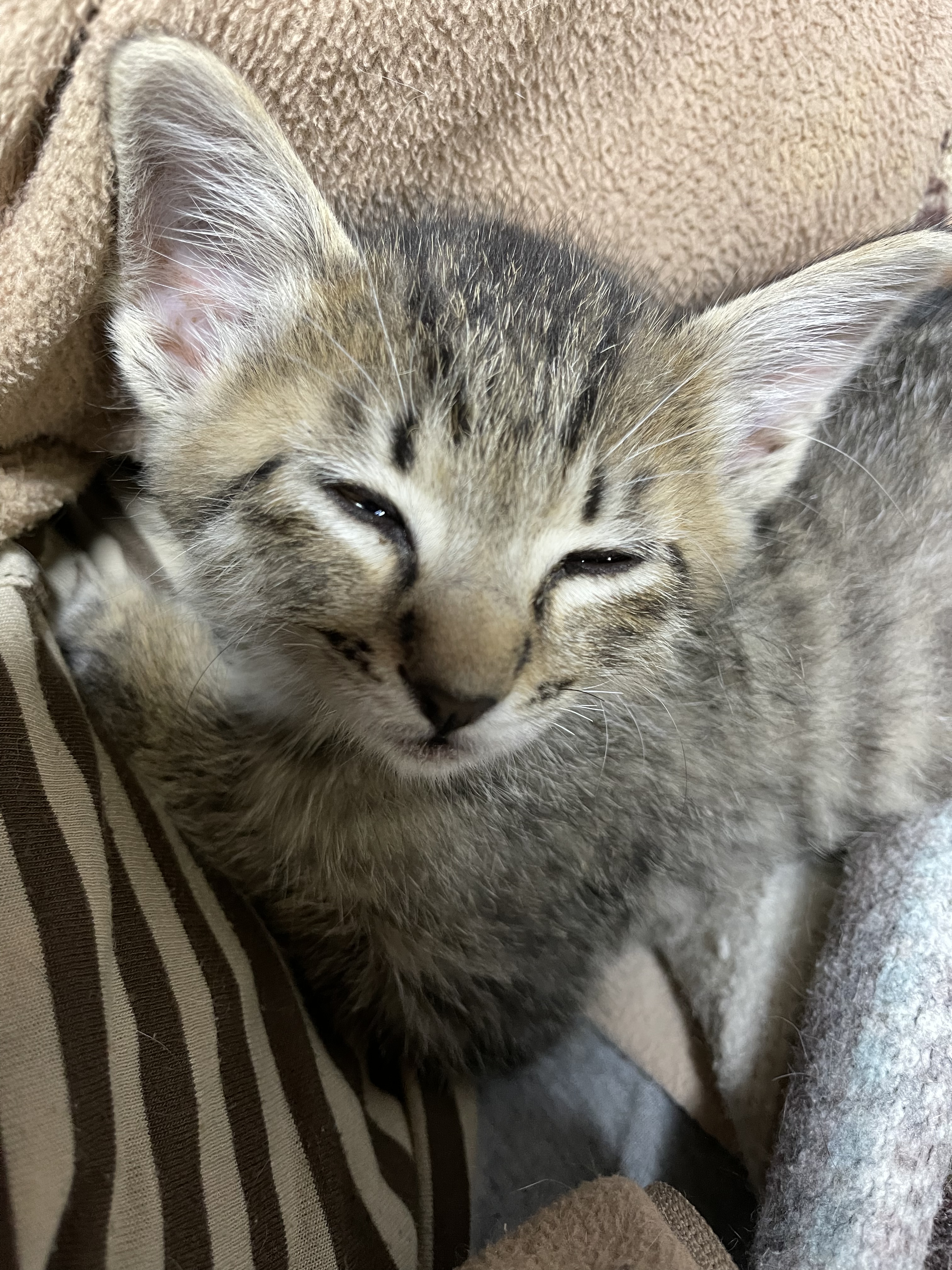 576F08F1-23B8-4820-85EA-32DEFE7492E3