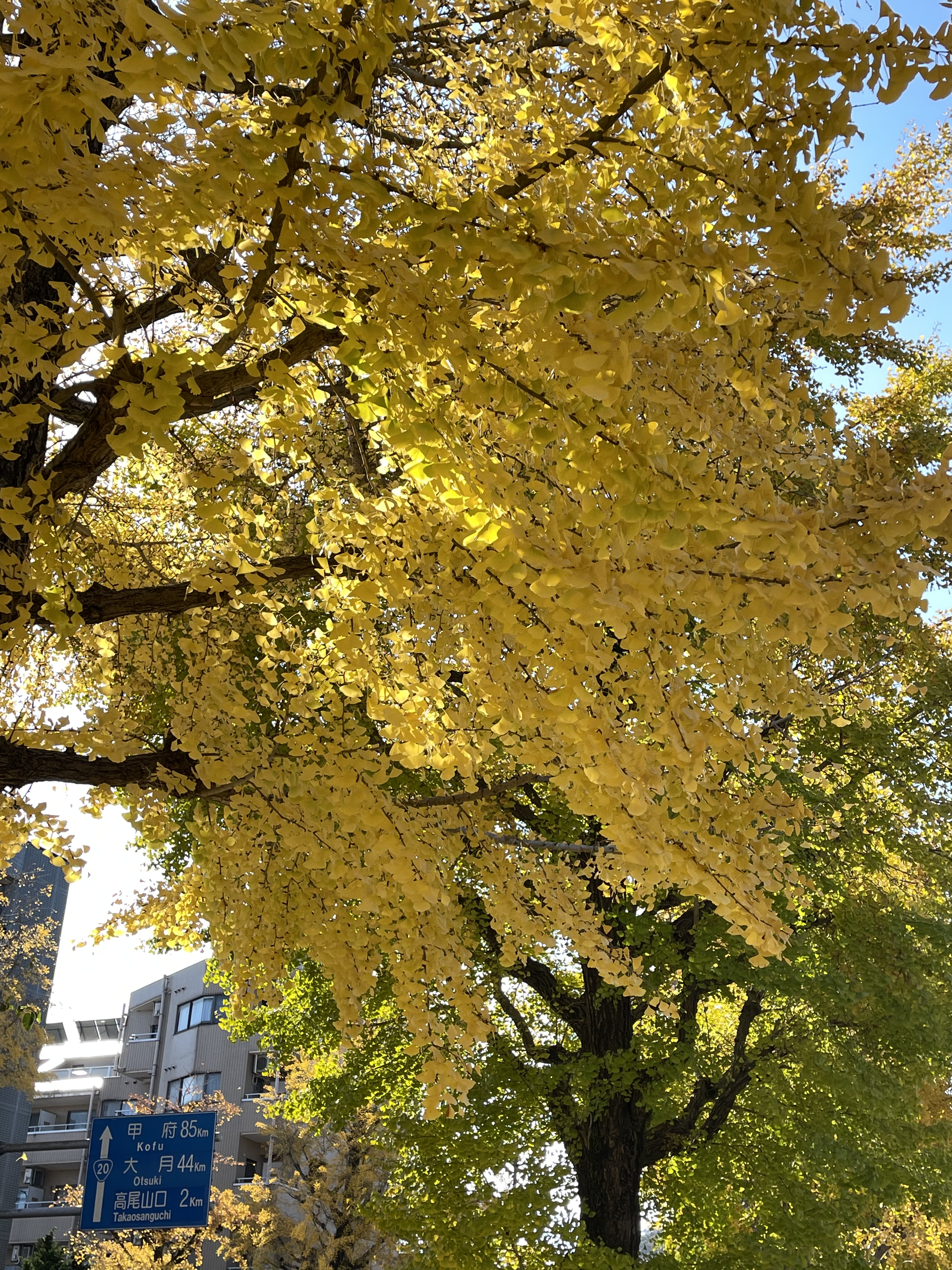 5921C670-7FB8-4076-87F0-D6BC2DEF2E3D