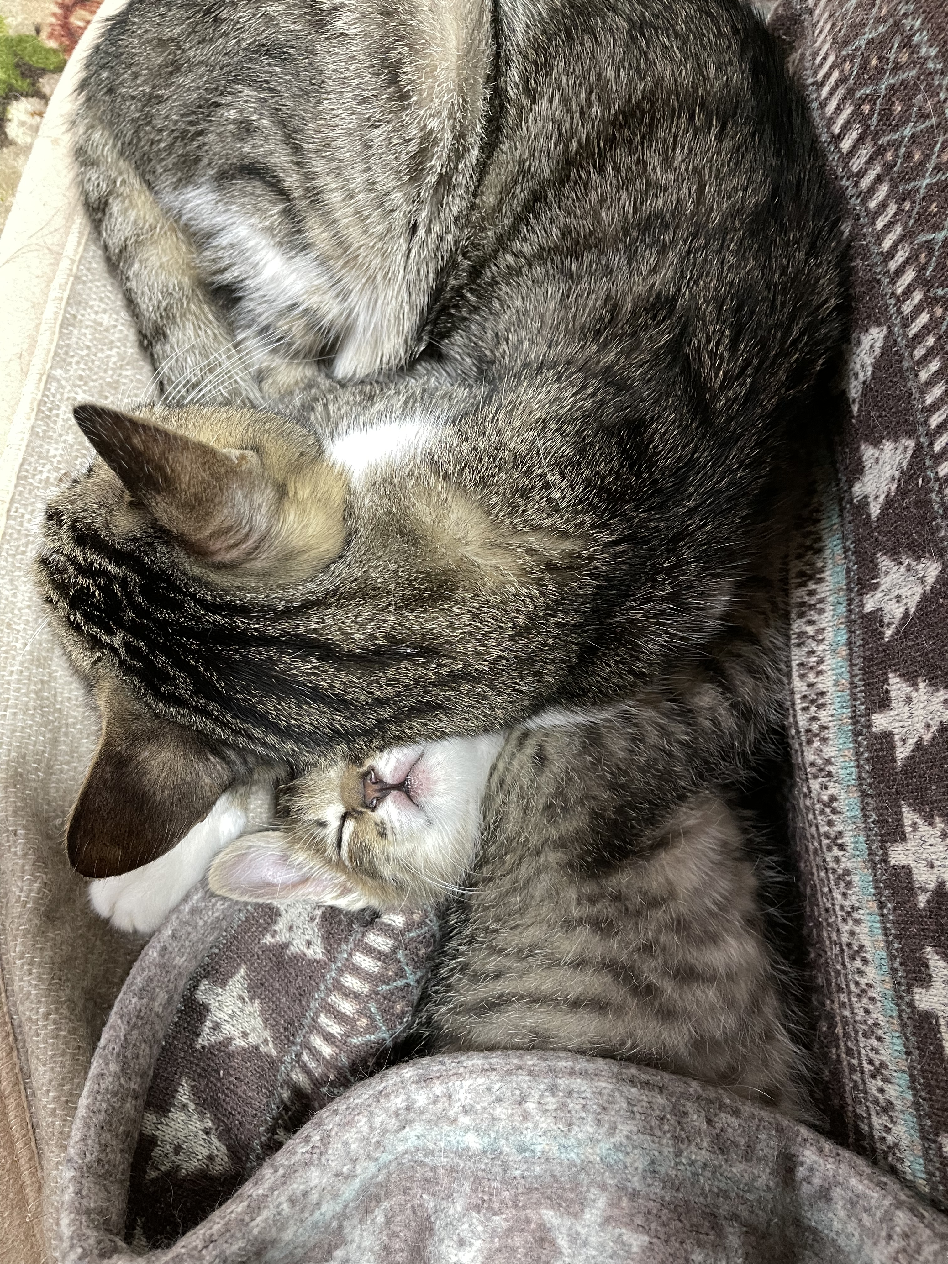 5F6297EF-8C9A-4ADB-B743-E84FF8D5F0CC