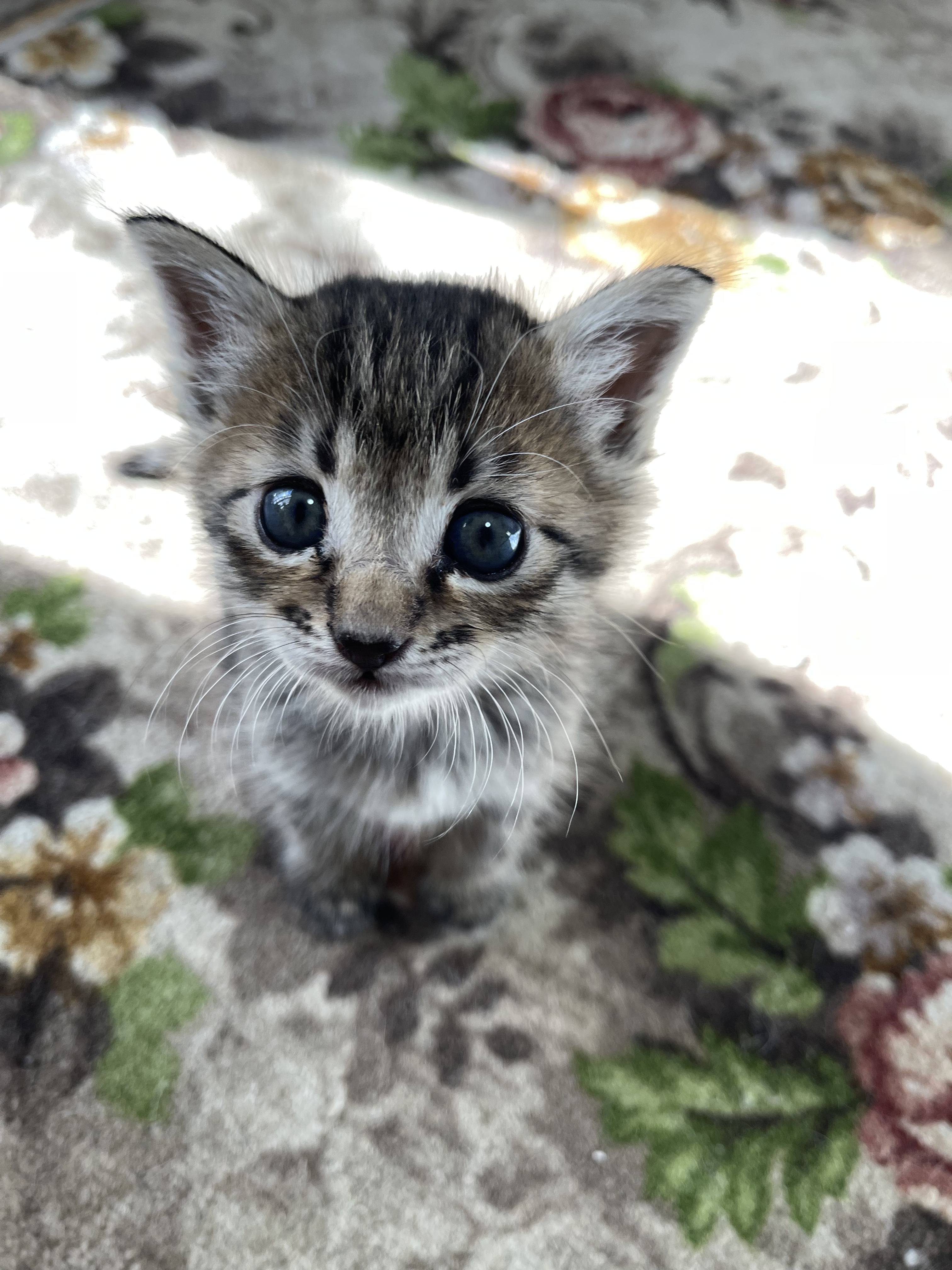 79628FCB-9F08-4227-A0C2-7BFB8E9DAC23