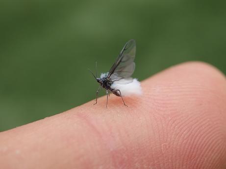 C888F51D-A5C4-4383-A317-7C53727EDFCB