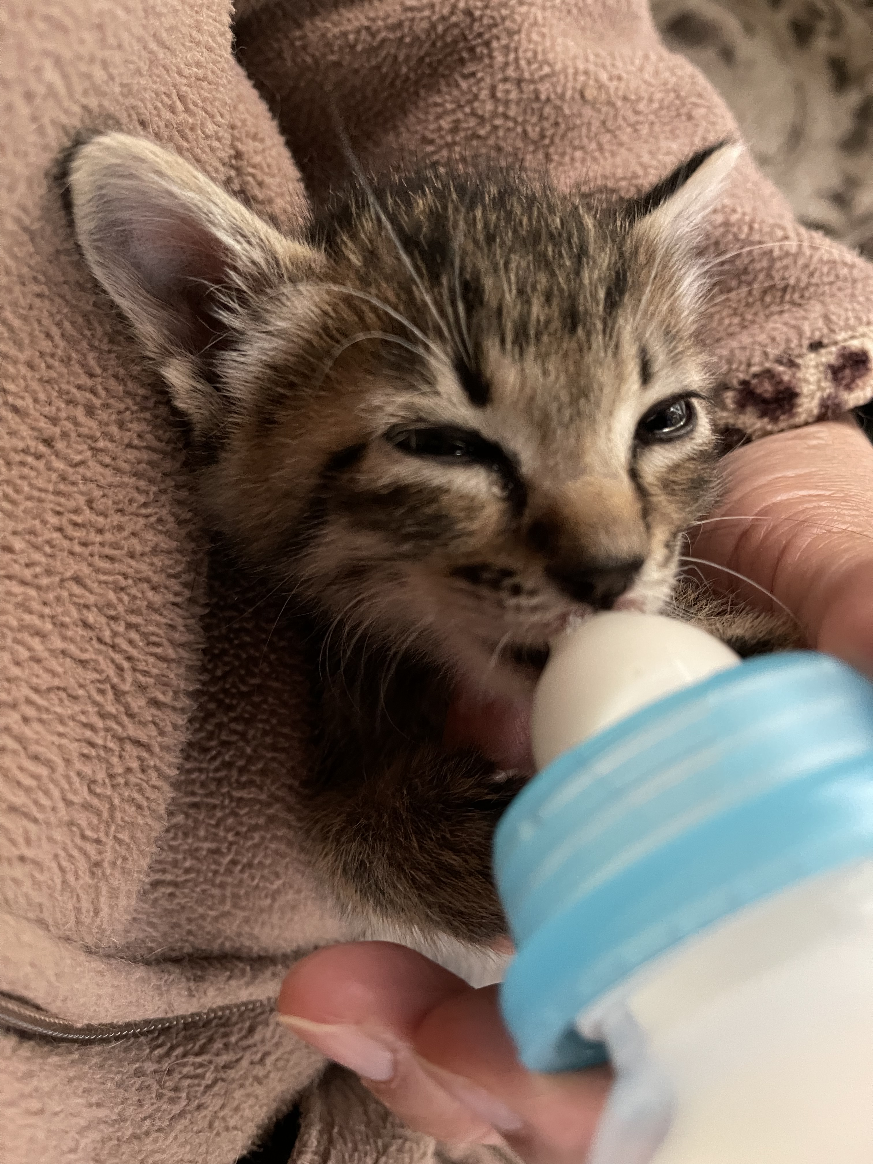 CF965A87-D42E-4DD4-8365-738DBF54515D