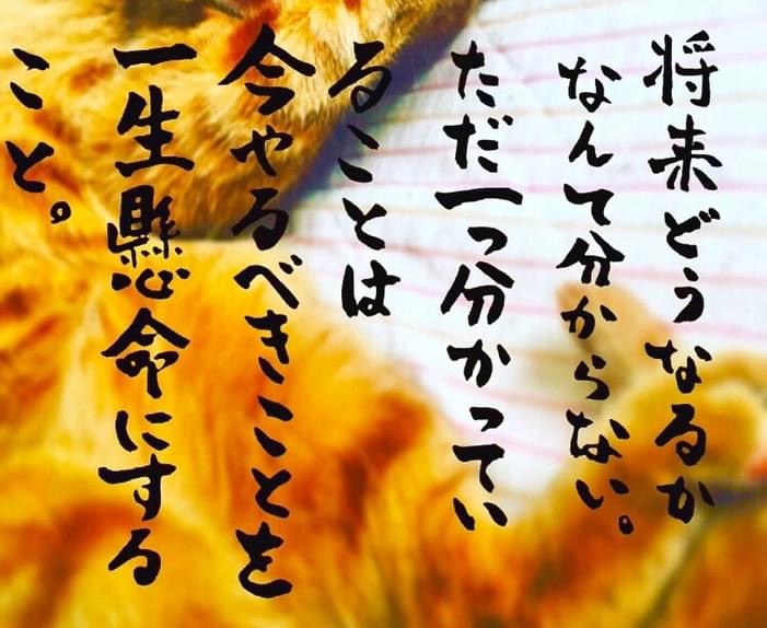 DF042BE0-6392-4C5B-BAB9-35CAED072ED0