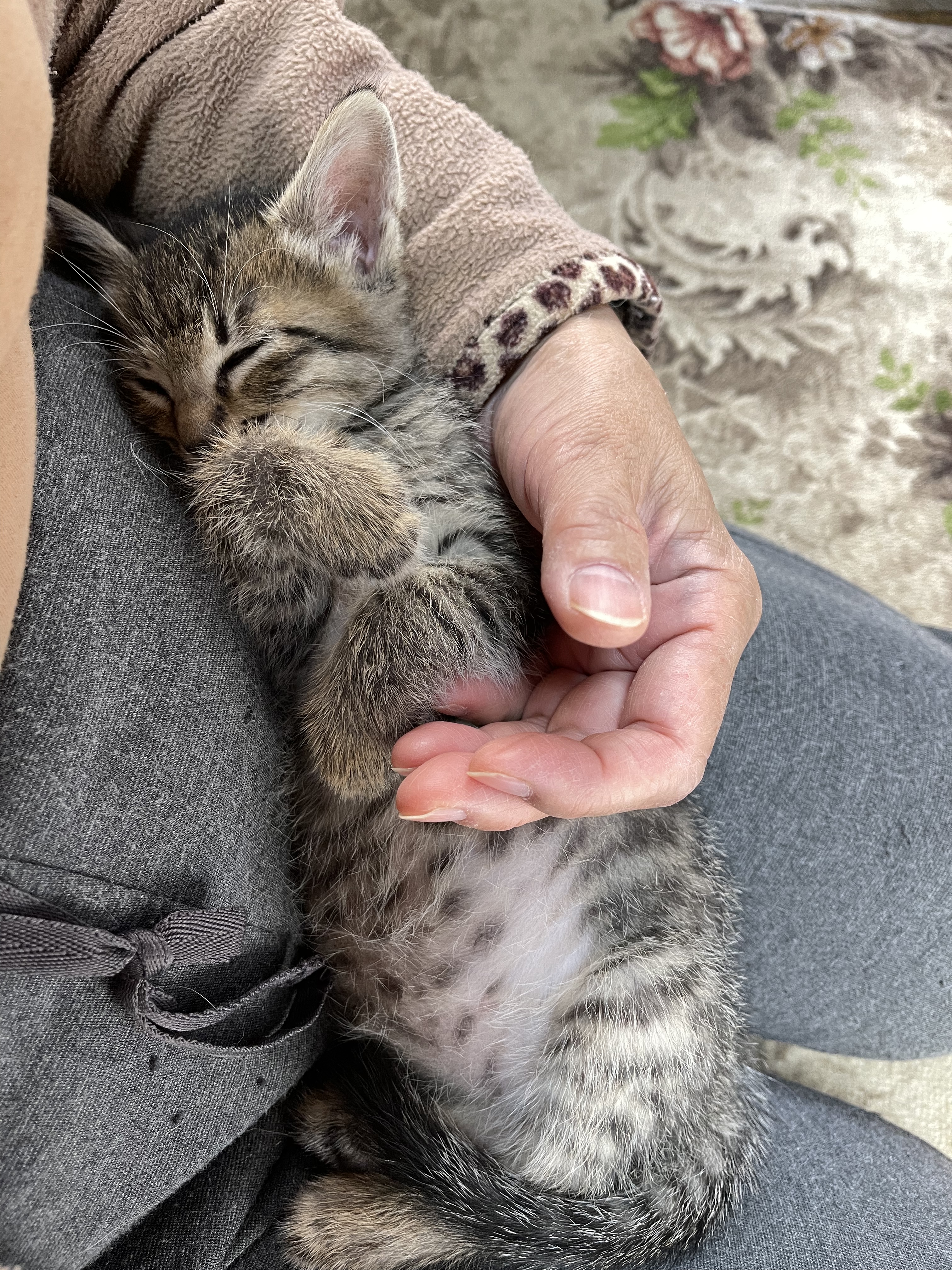 EC903977-2684-4405-9DD7-CD71BFCD7DA1