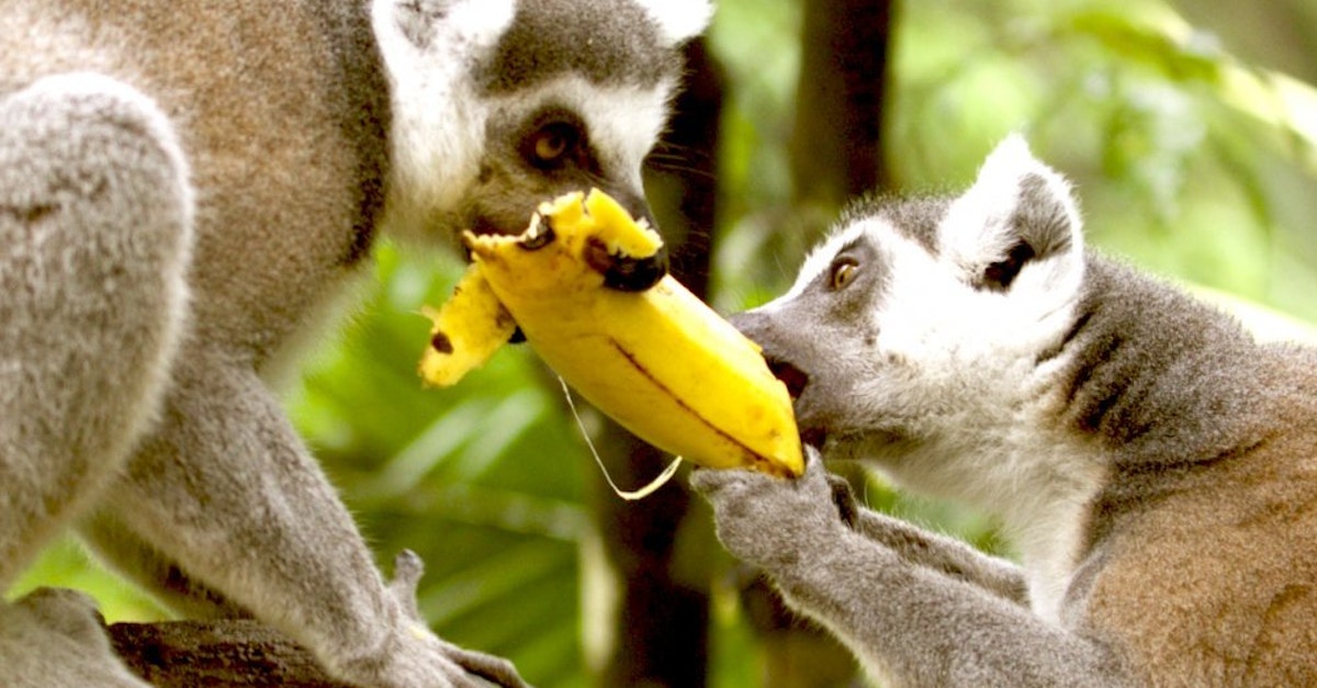 F35B6B7F-A3B2-409F-ADBA-B720D1B08AD4