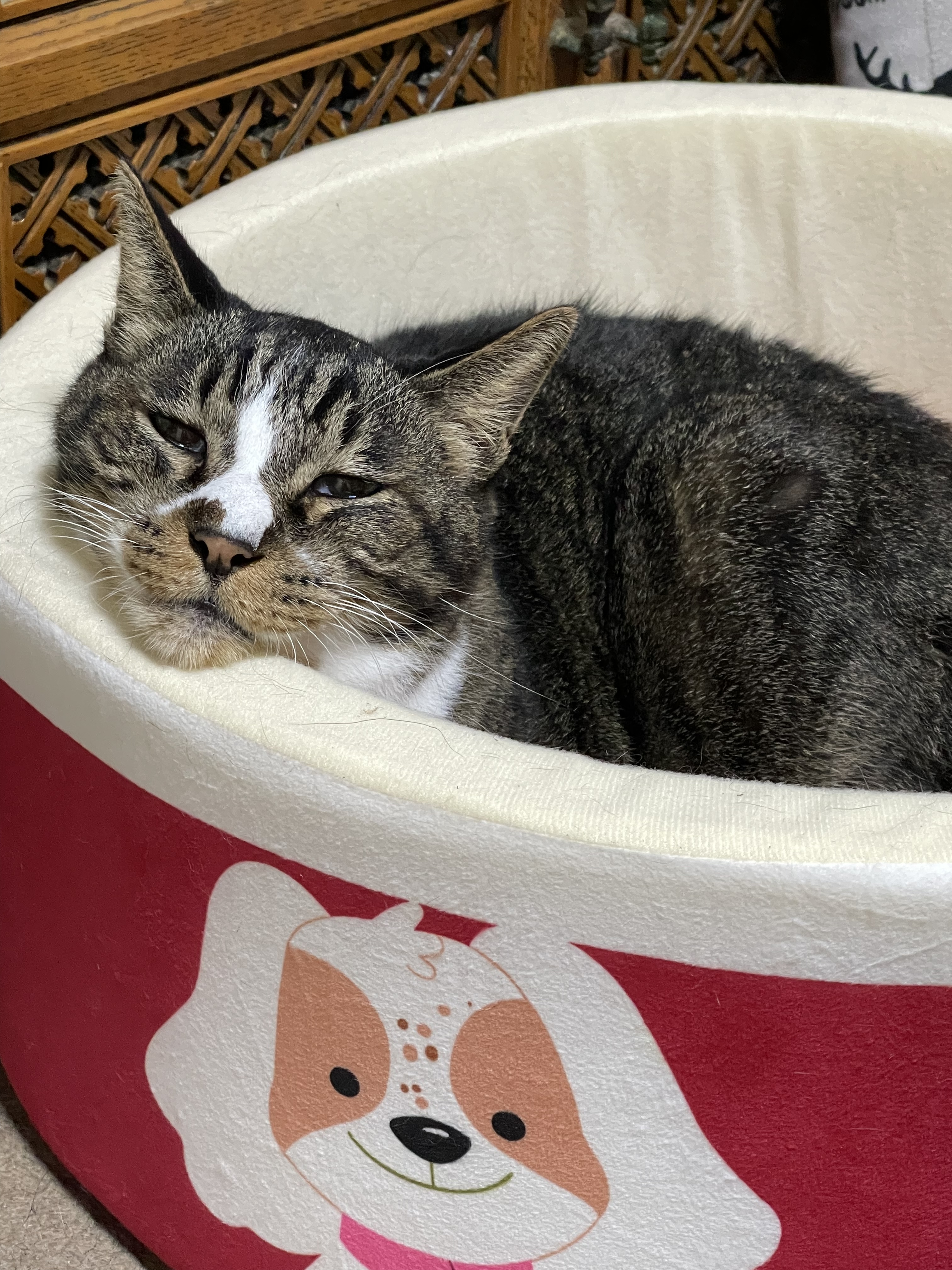 02079505-3406-48D2-8B30-EC82DB5786C1