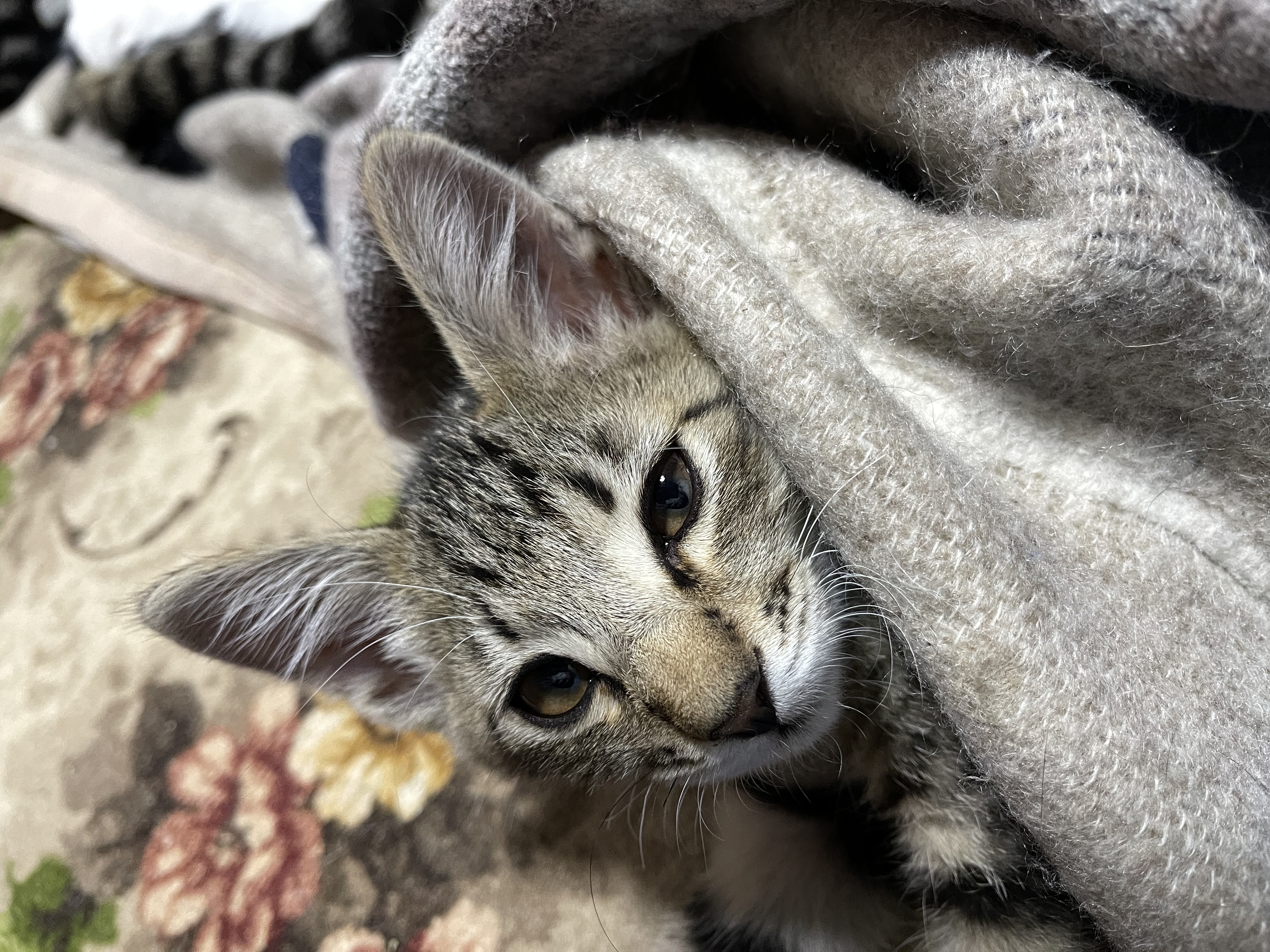 08642545-2D19-47C8-8D4D-C1EB88252AF3