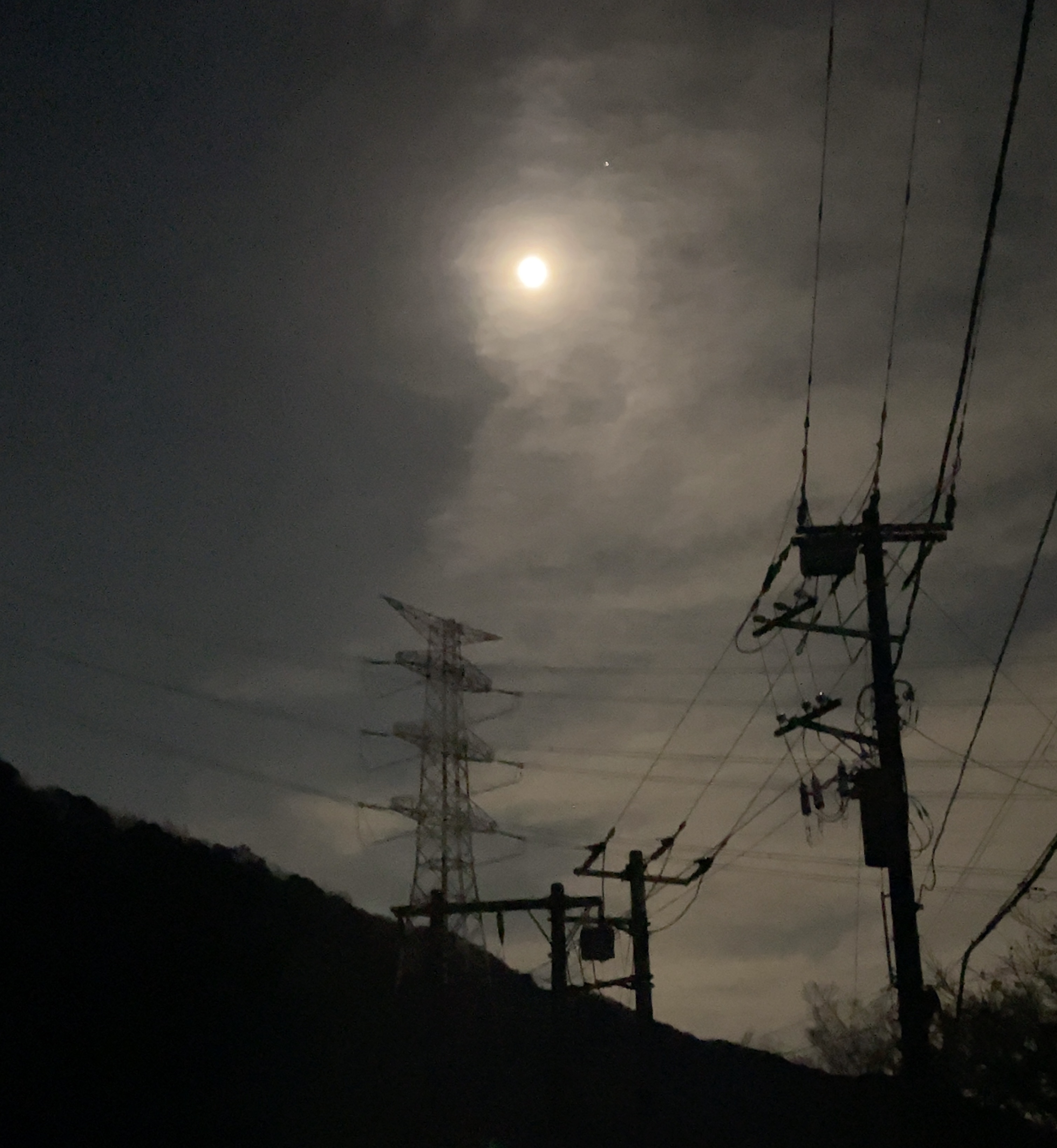 2DB407F7-FABB-442C-BD57-ED78255A8E65