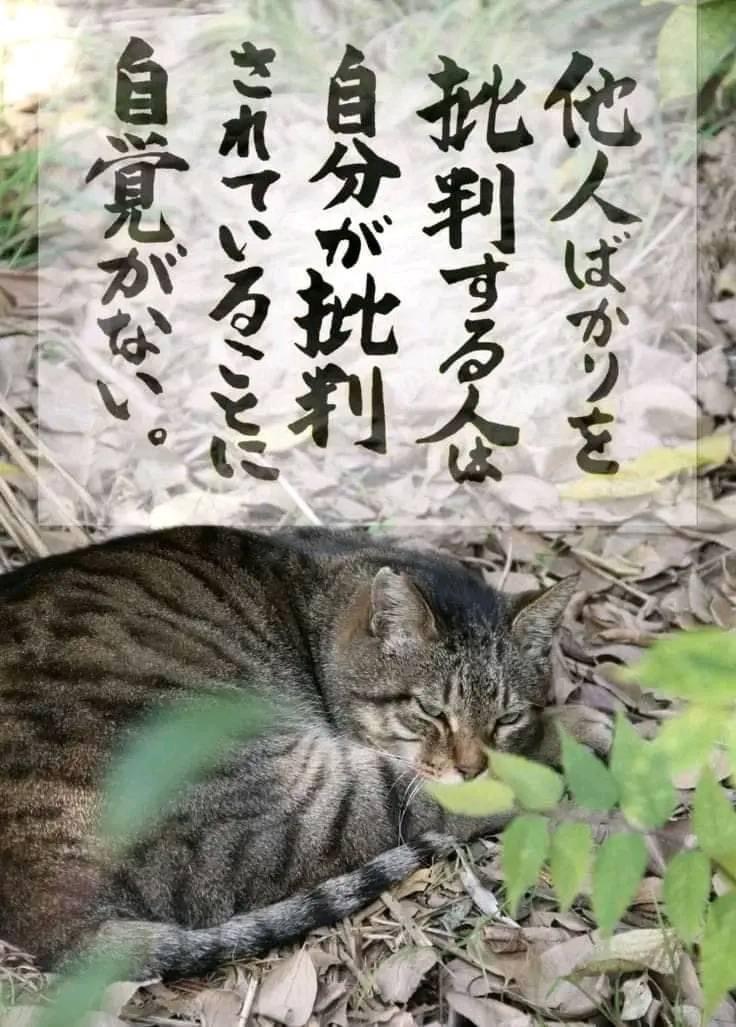 32F3CE1D-8C53-4DCA-84EF-721F90FEE37B