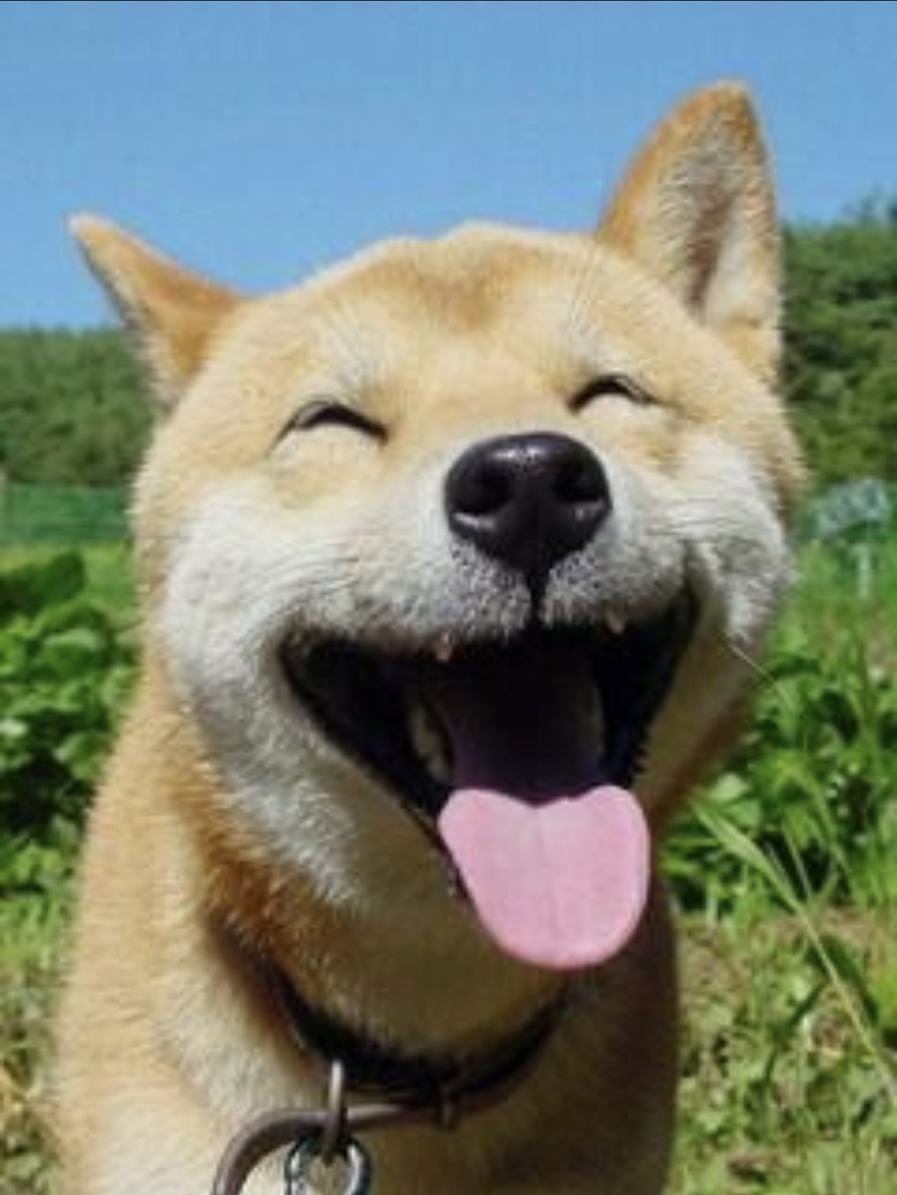 34753285-5307-406D-8C58-C0A1530B1642