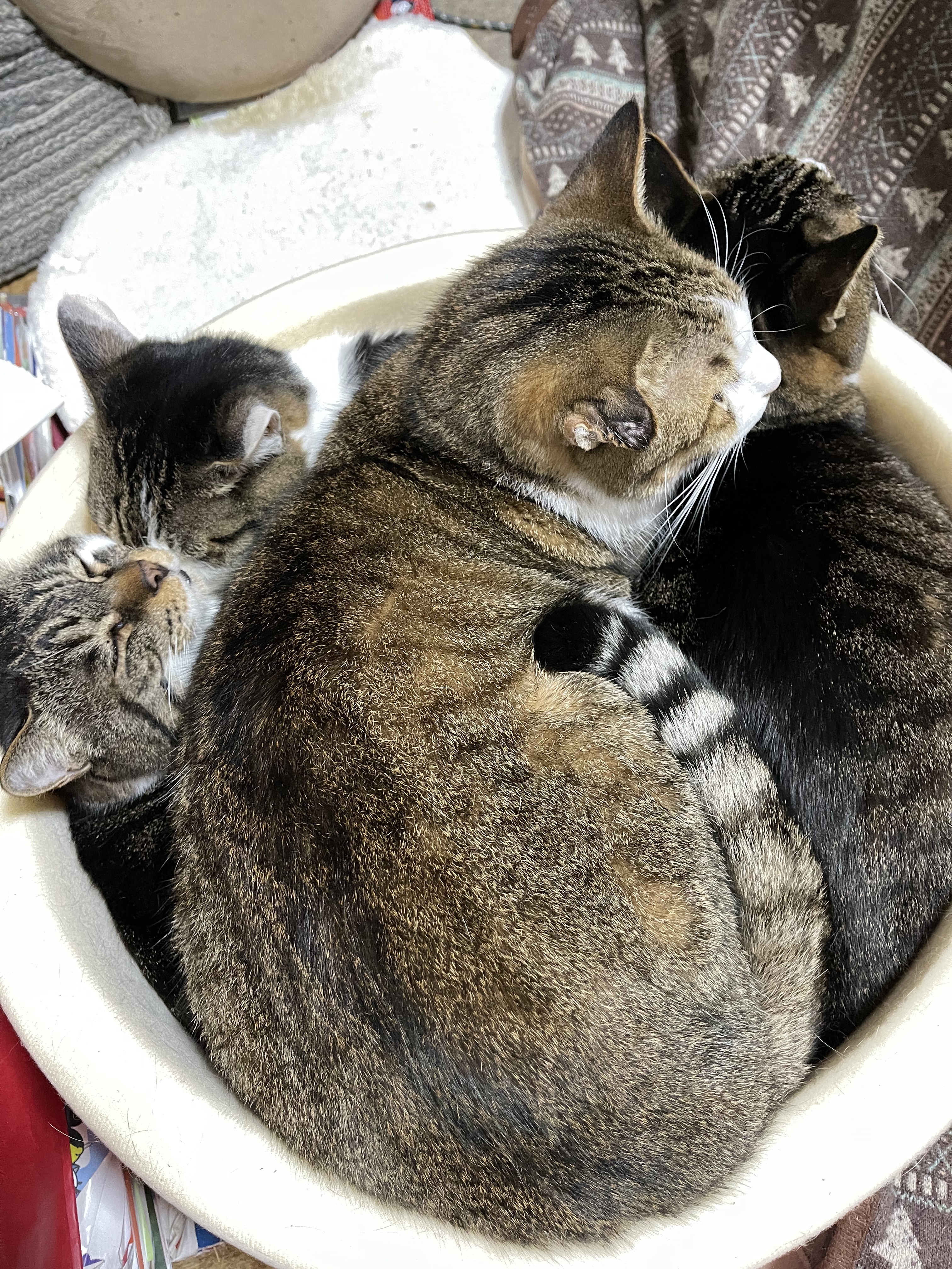 8EFD831C-A206-433C-922C-EE8A0E4460B2