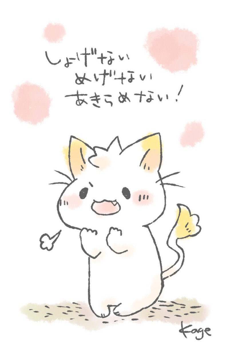 ACC9D1EF-51E0-4568-83ED-726FA3BAC0BB