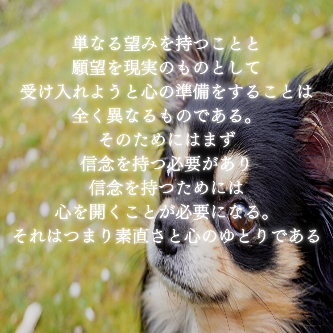 C327811F-0372-41B6-8078-4C173AC0C0A3