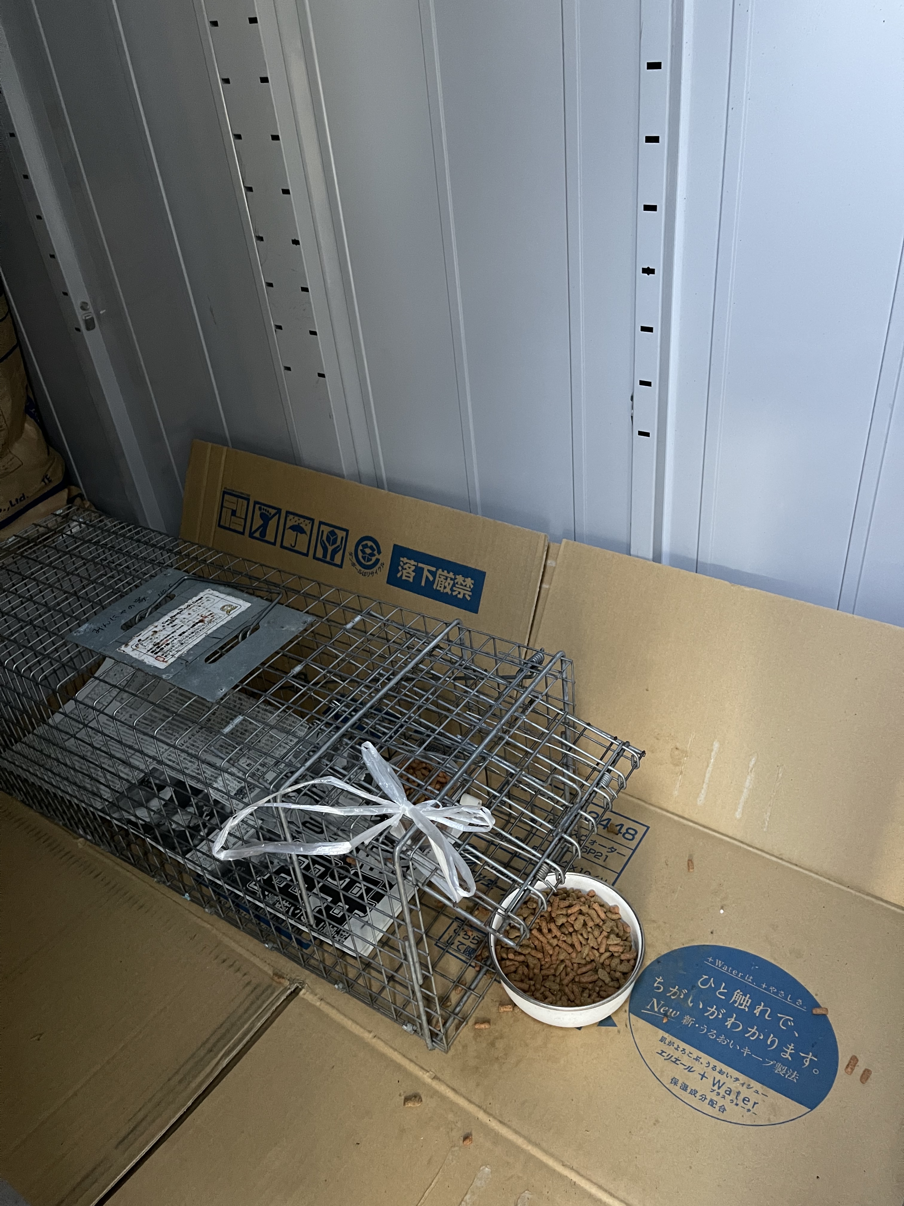 C8CFC6B2-F241-4893-B47E-072B9C50A59D