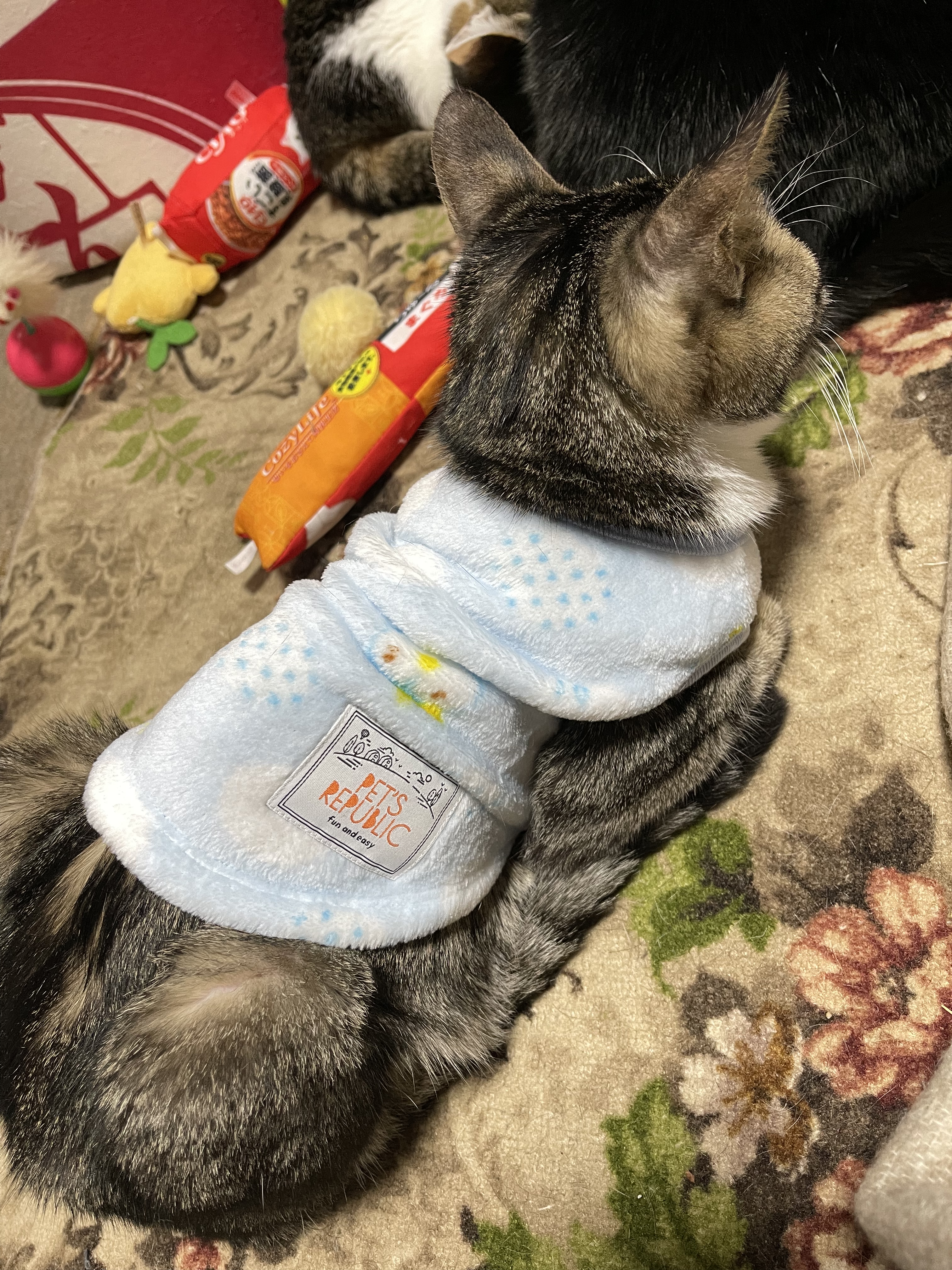 CD705DF3-6159-4698-9AC1-5EAB1B1DBE2A