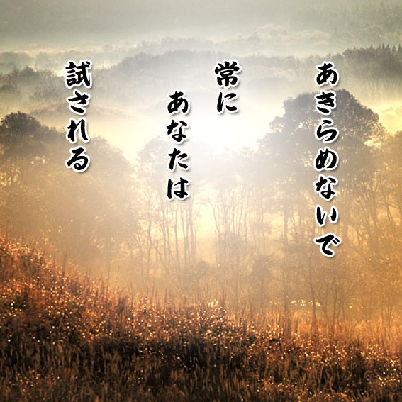 FA33D9A2-EB45-4387-BA5E-BD56016673FC