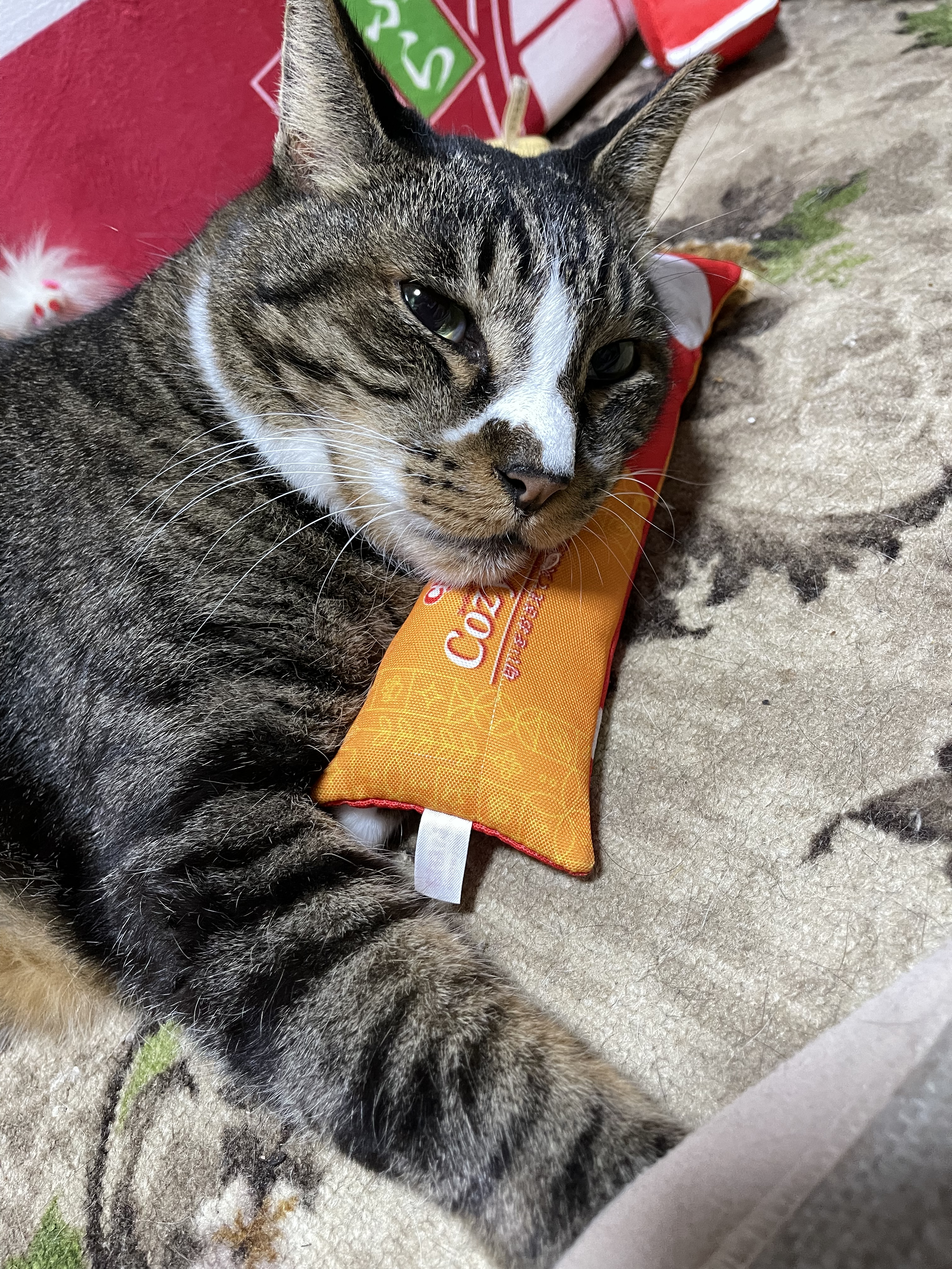 FDAD4E2E-F03D-4CAC-90F5-B5763AFBE7AC