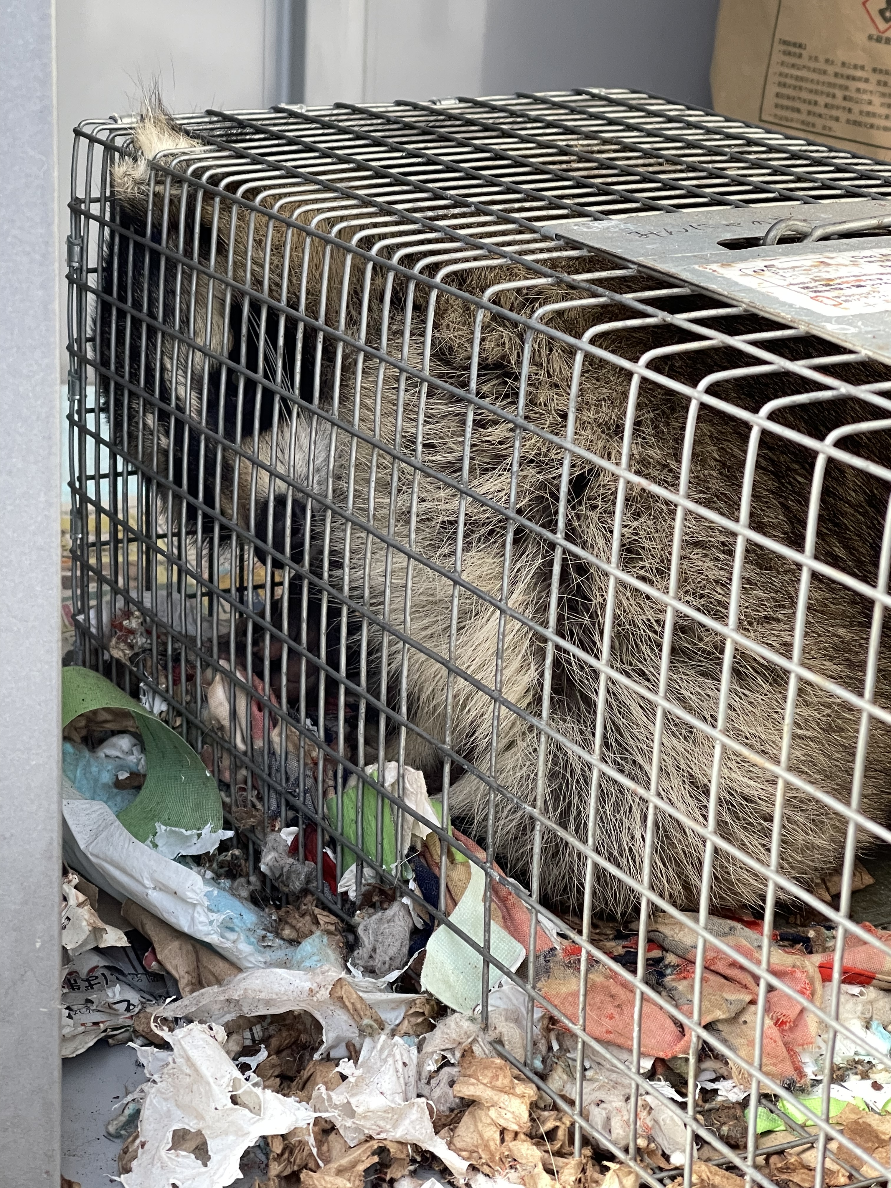 FECFB86F-CD68-460C-8C7C-EA762413447B