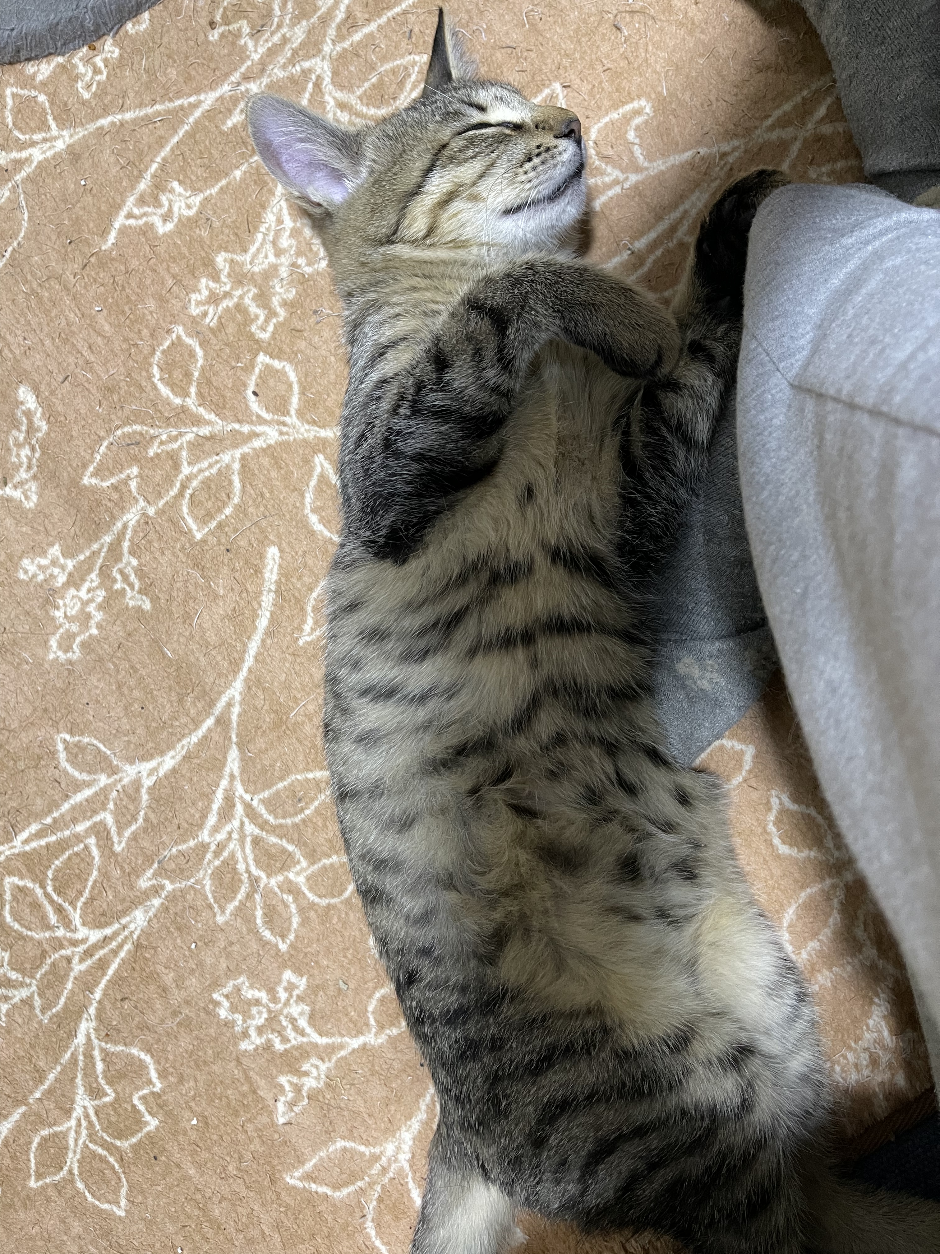 0CD90E2D-8904-42F2-945E-7FFF9C35C890