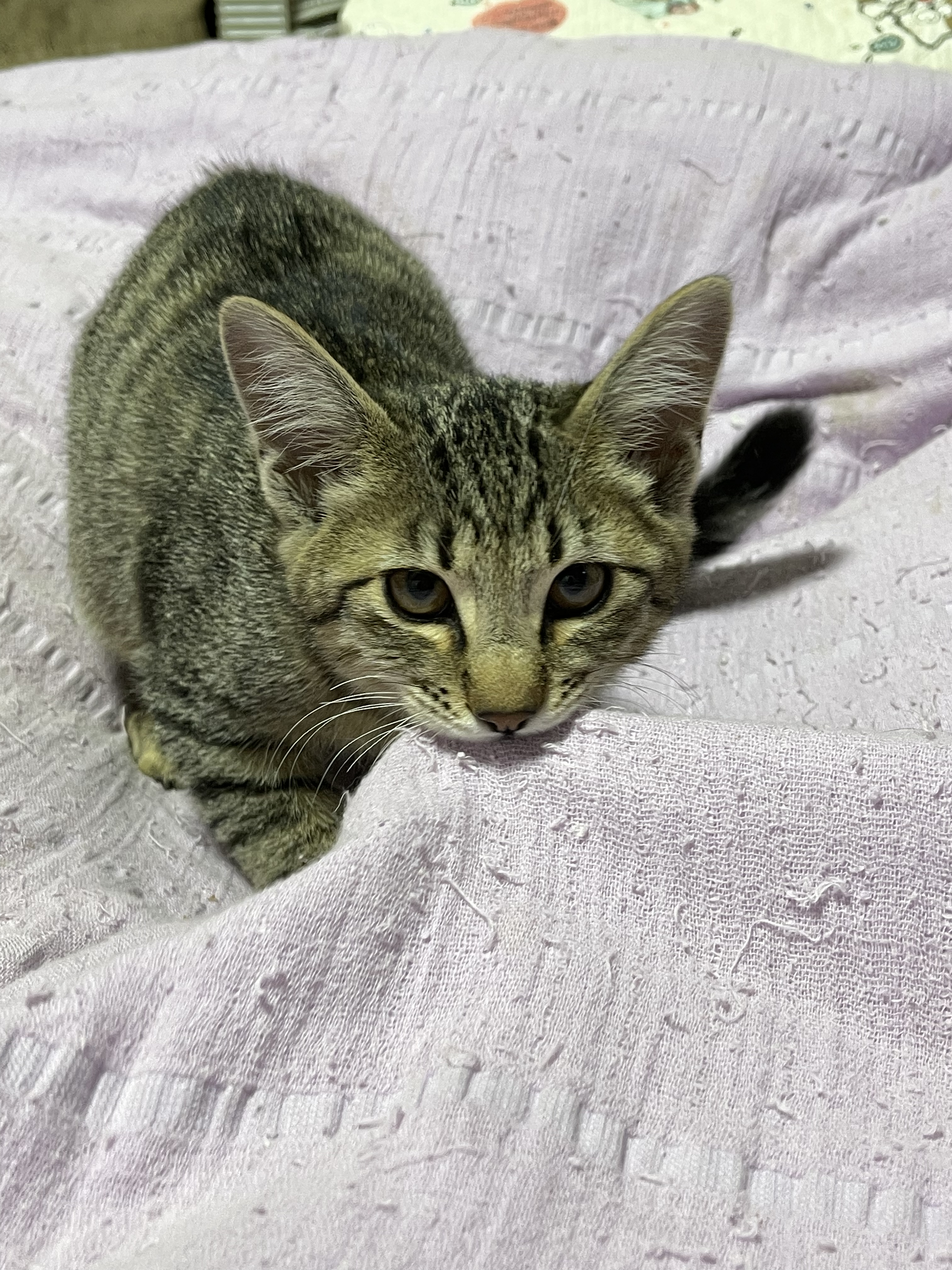 1BB76929-329E-4DAC-B216-F50127F0404B