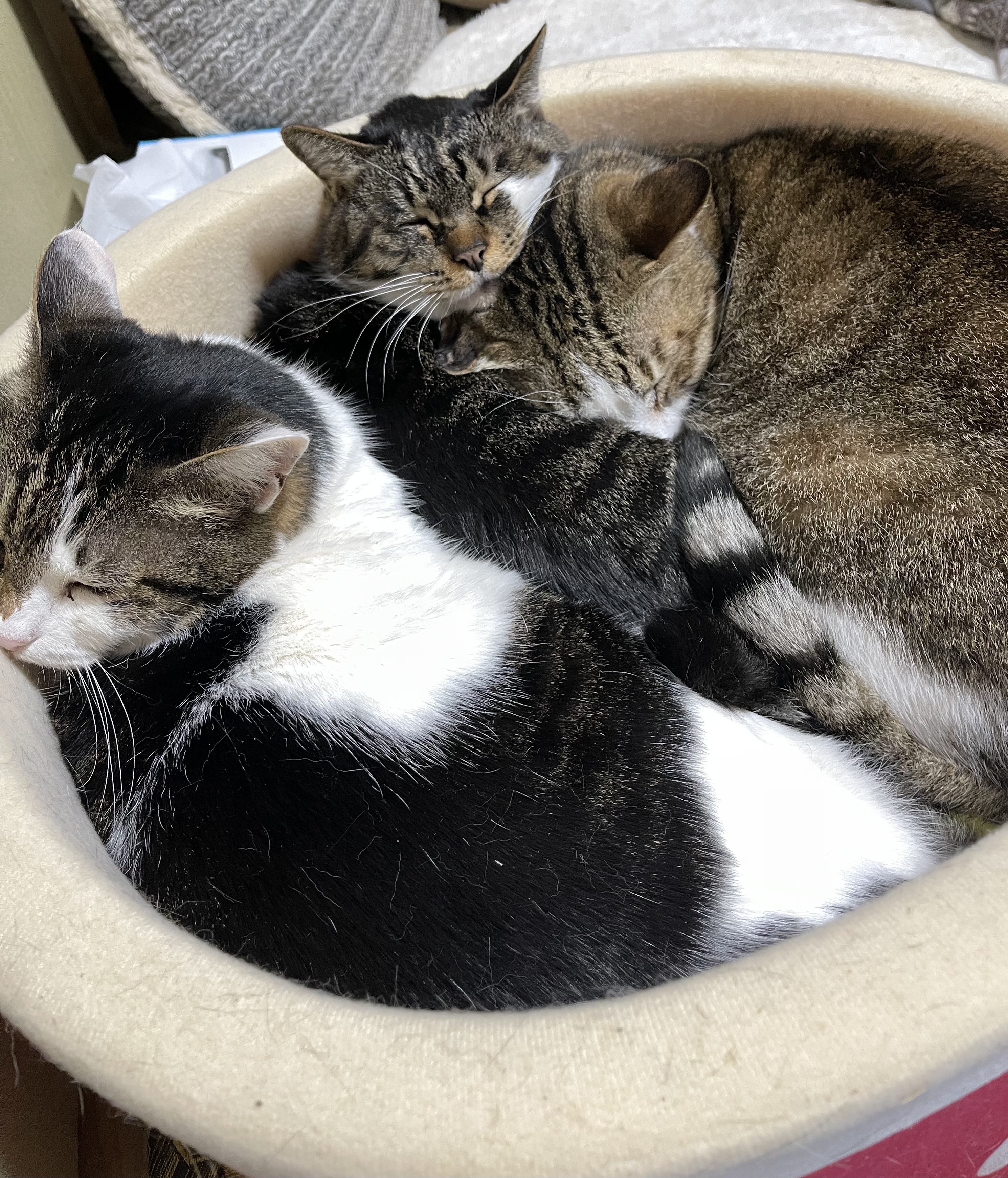 213C7102-A2B6-466F-8A10-EAE281BAEBF2