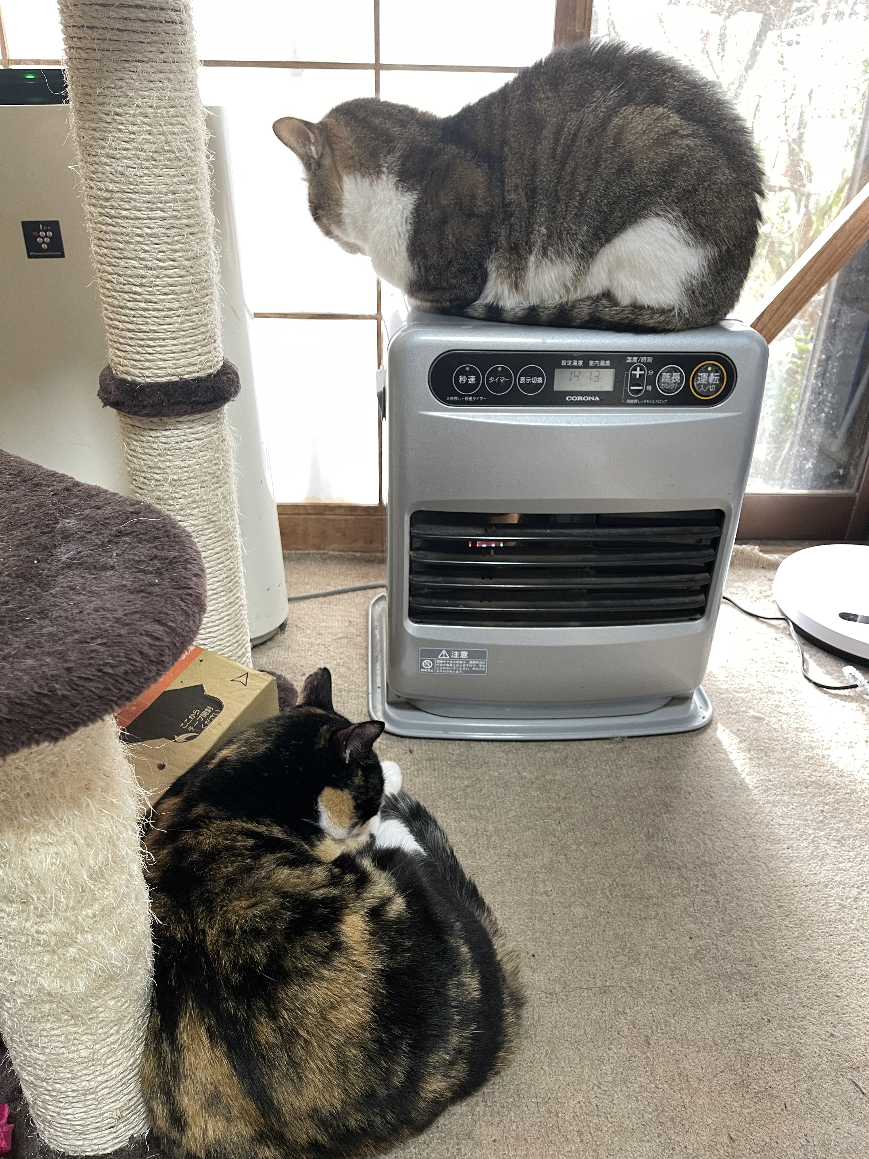 2E2F00A5-F44F-4B4E-8611-E6D959853AA9