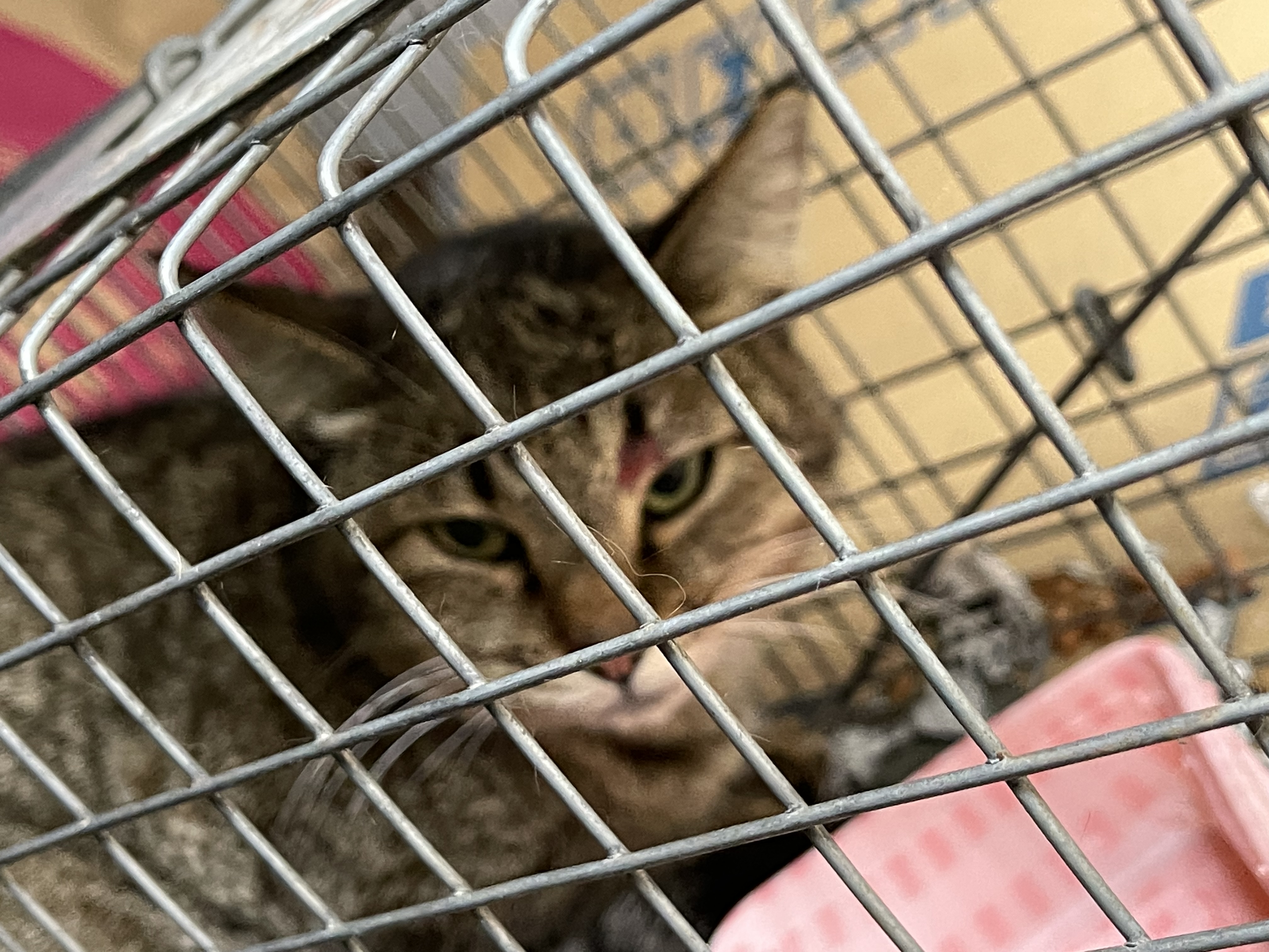 94642D99-2A2D-4278-A5FA-640D03CE9E34