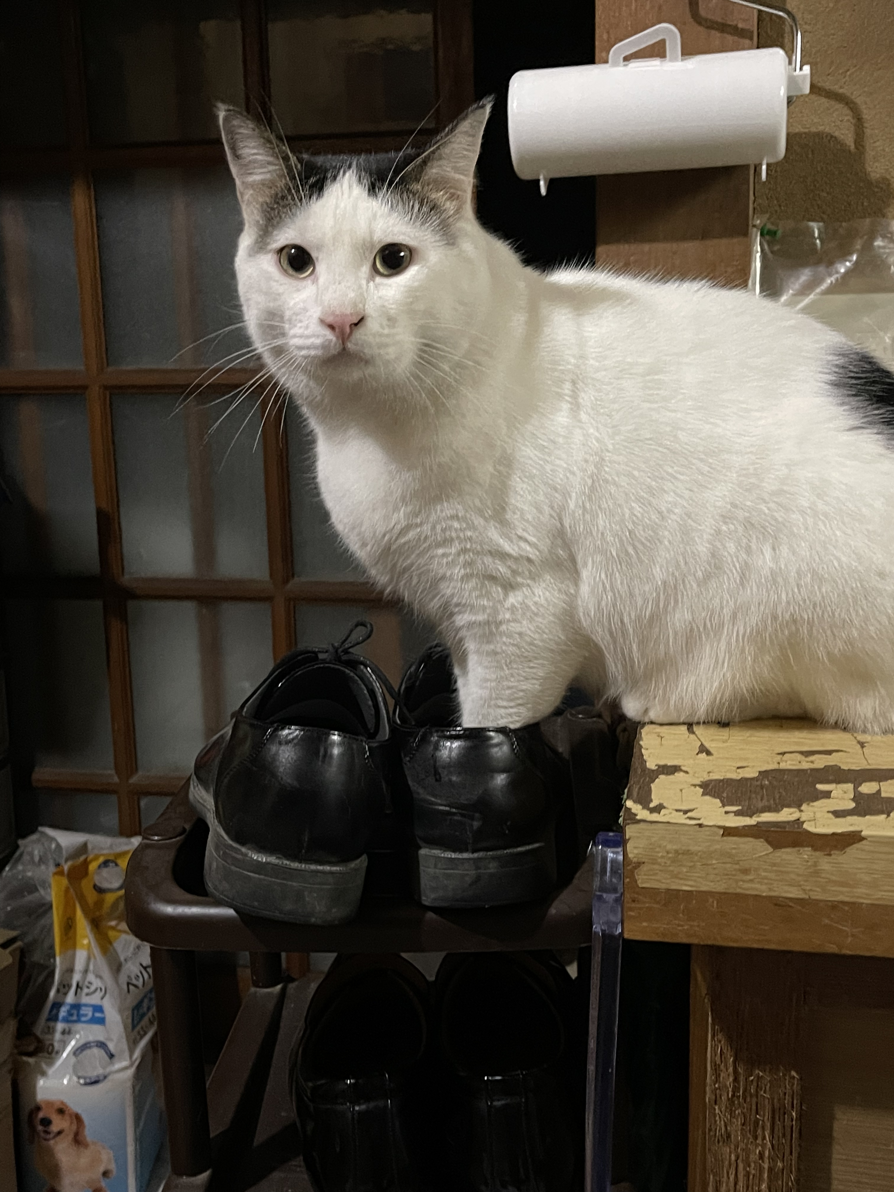 B2A3B9C7-2D99-4822-8D57-BEE0A1CA39C1