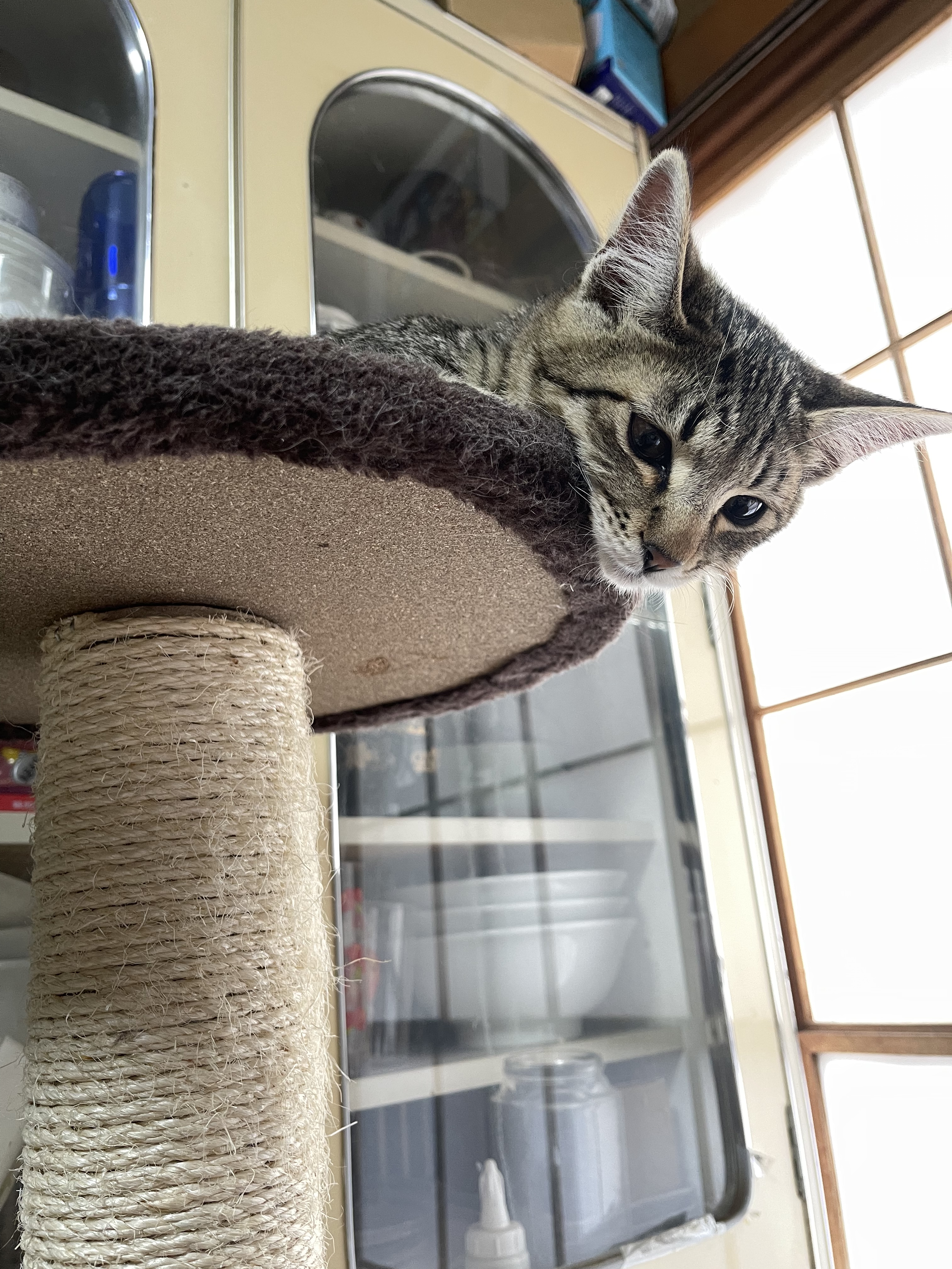 F7241005-CD6F-4FC8-B62B-BA69DFBA4AC3