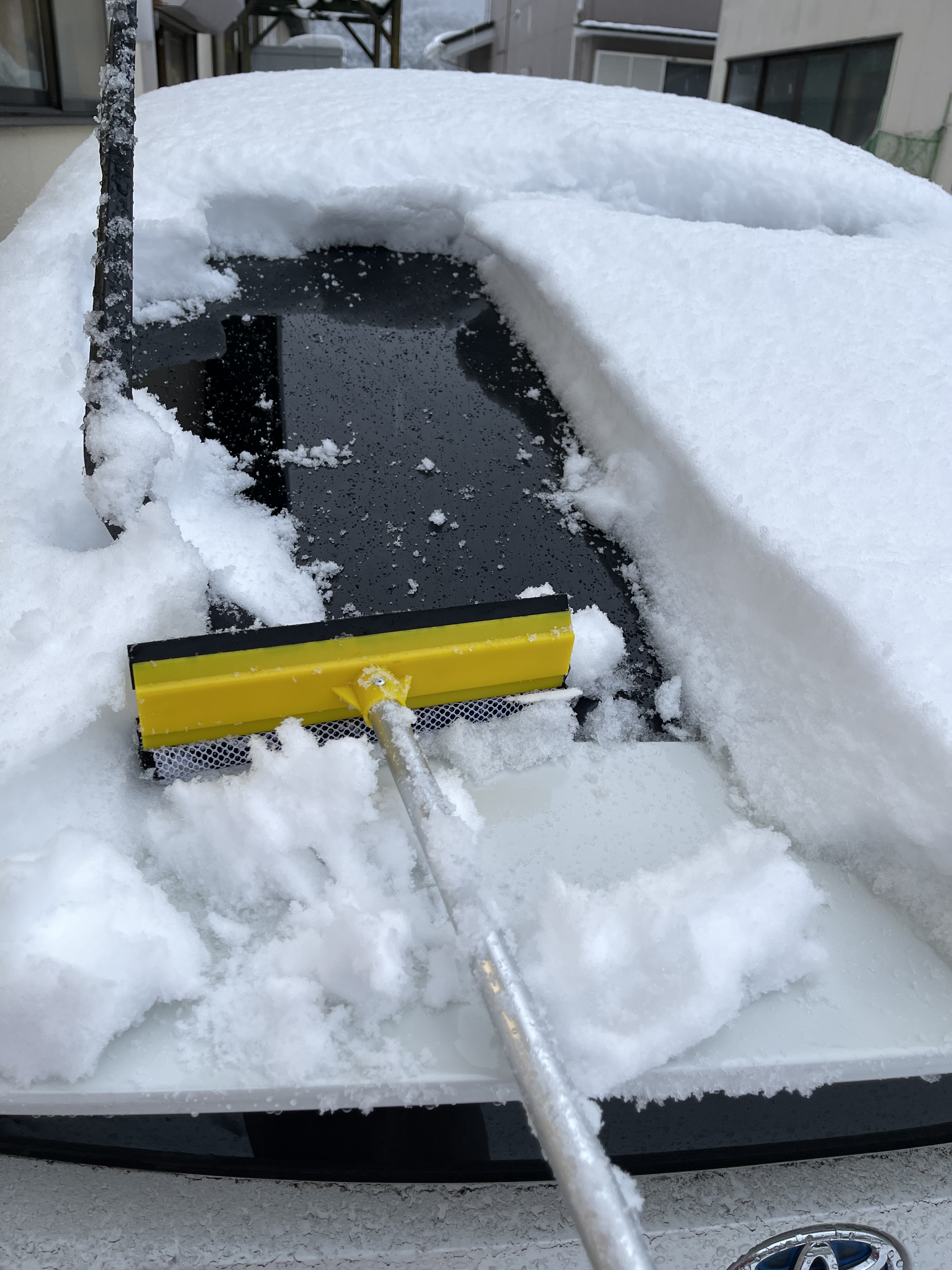 4E469D91-4C9C-485D-9435-83DD9D21C5D9