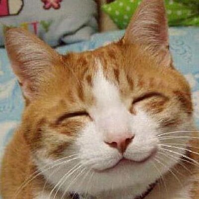 6B867E26-8F08-4393-BDAB-64665BCCB855