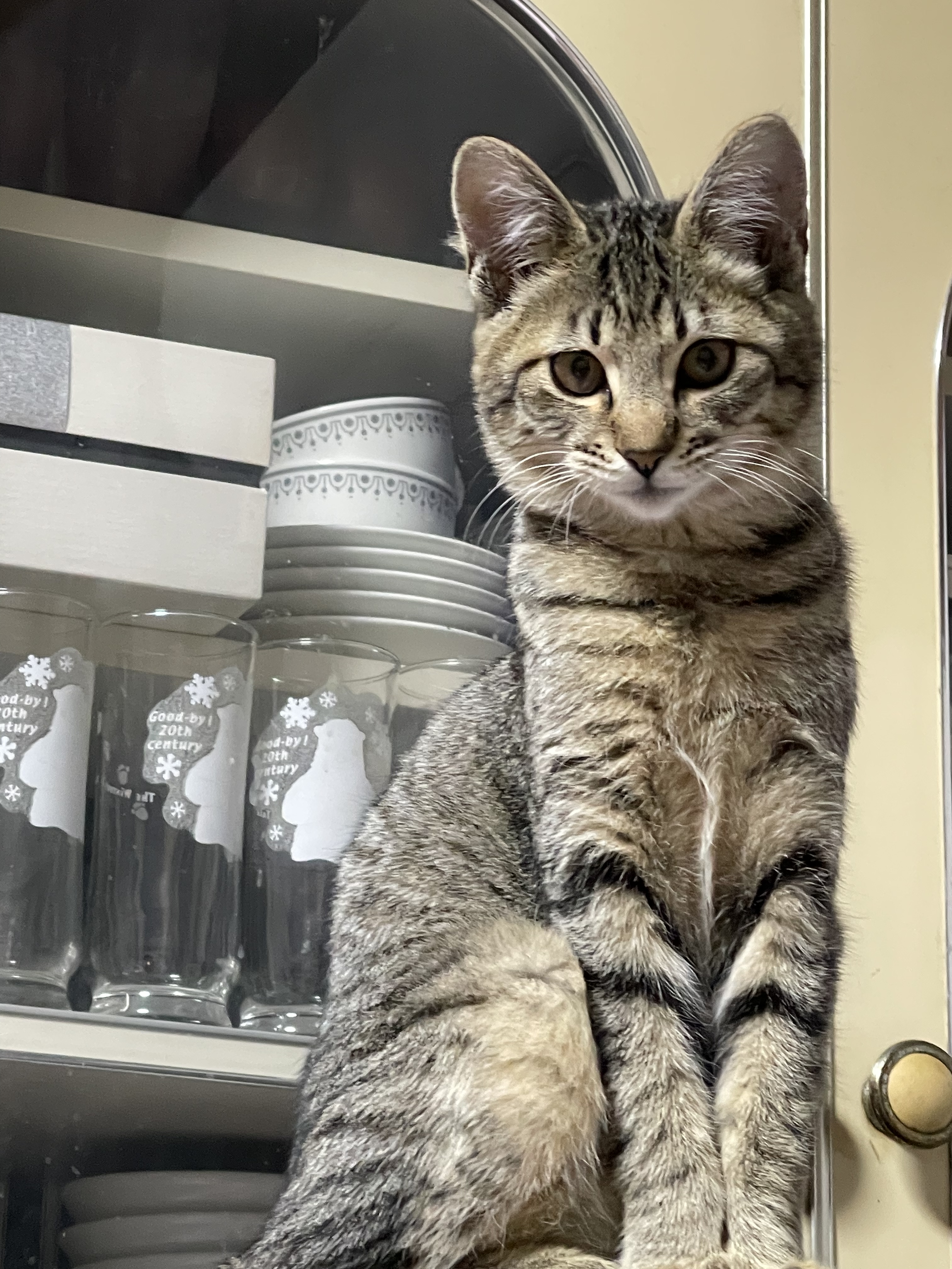 8BEDA73D-18CF-4872-9018-A9B4A5CF6AFC