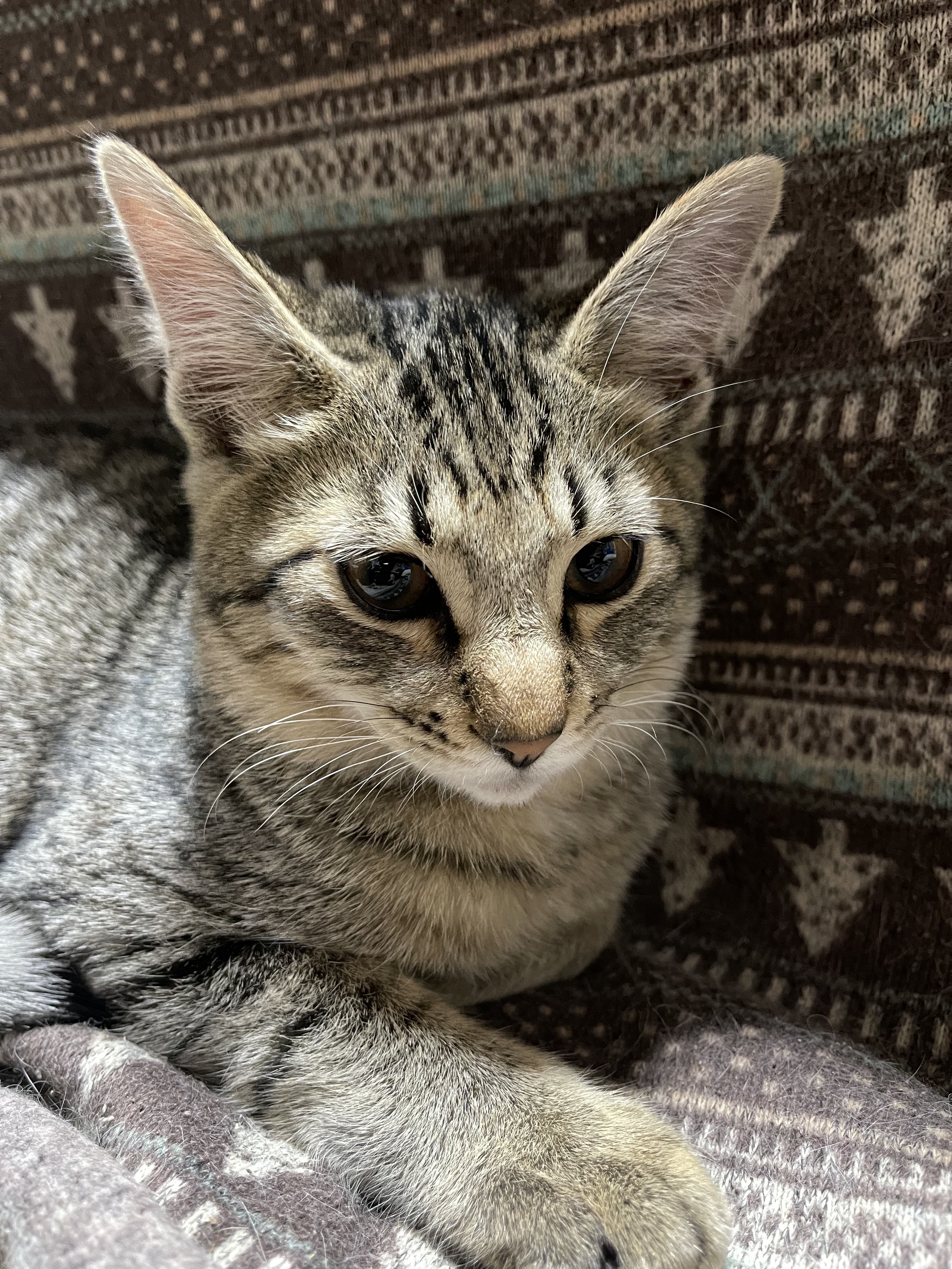 8C4811BD-D82D-4619-91C0-FD67B8885891